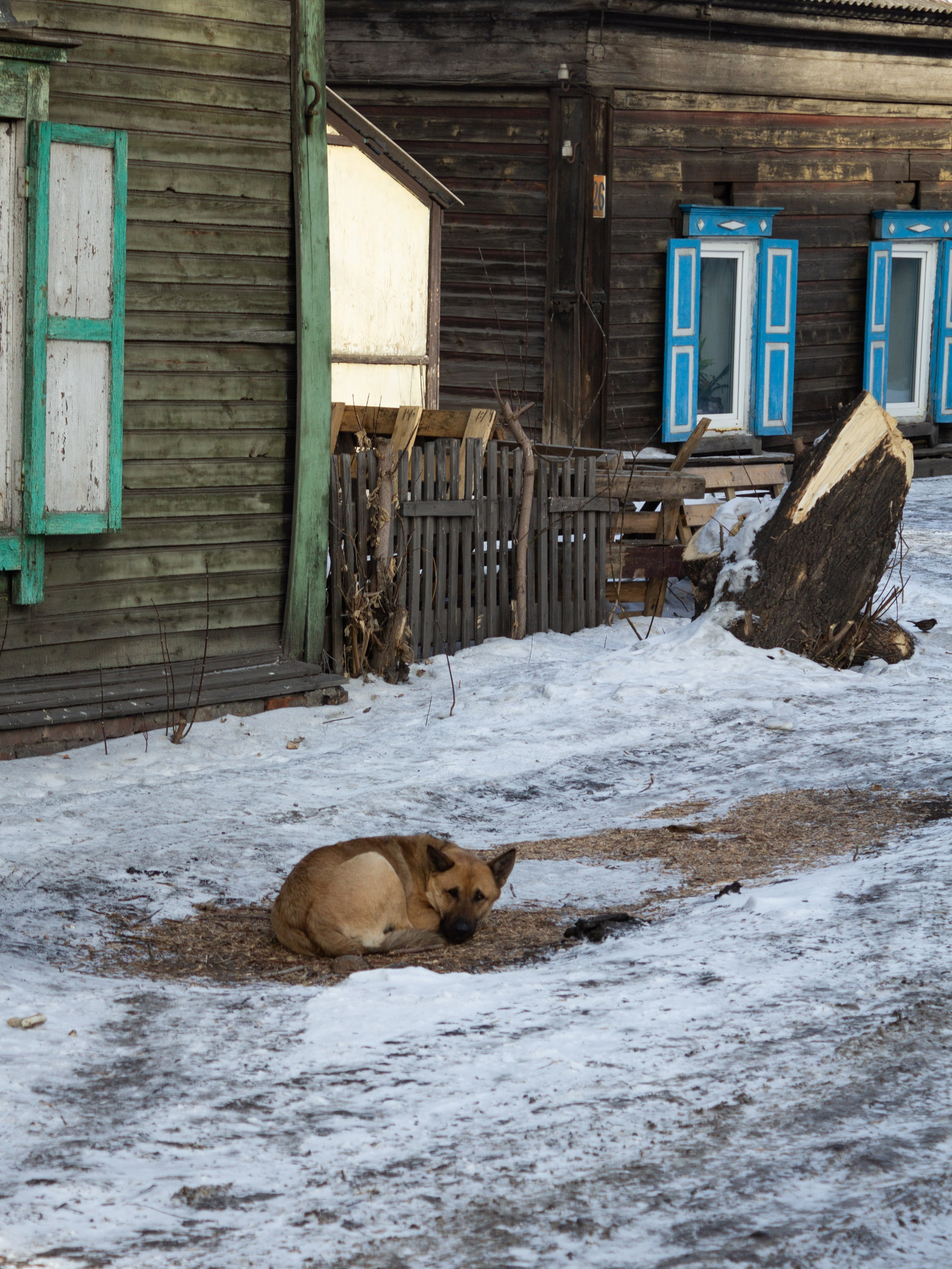 Стрит. Фотограф Мария