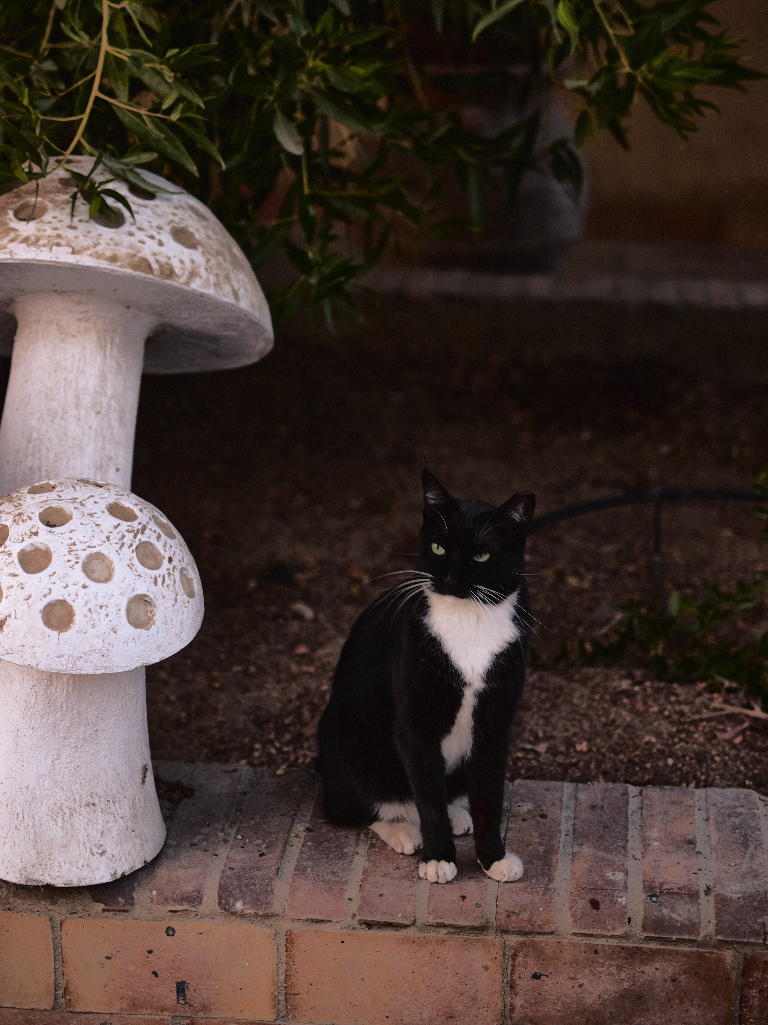 Природа сквозь. Jorgis Talè — photographer, kind person, teacher of arts and other mag