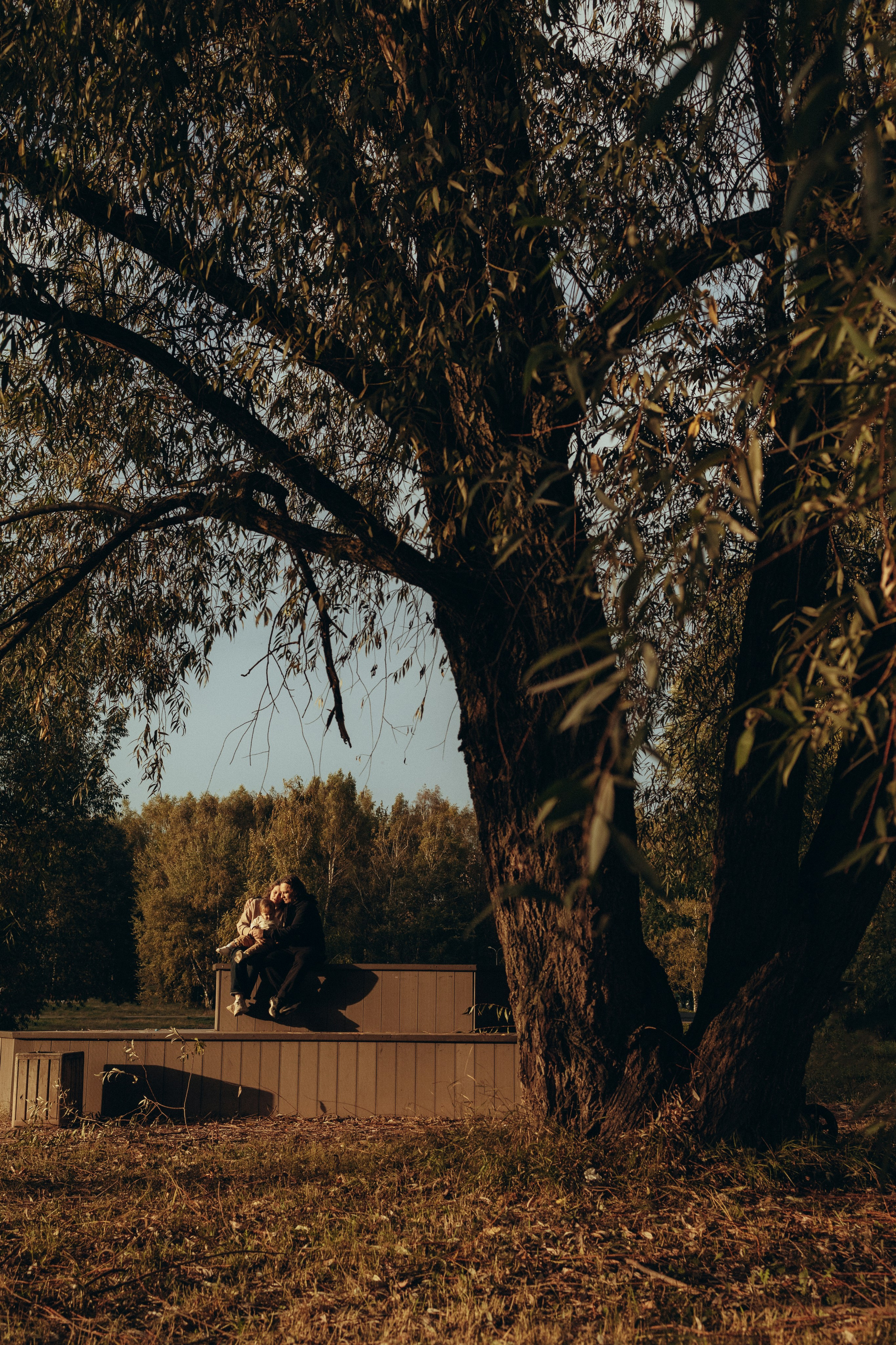 Дома кот и пироги. Фотограф Москва Алёна Суворова