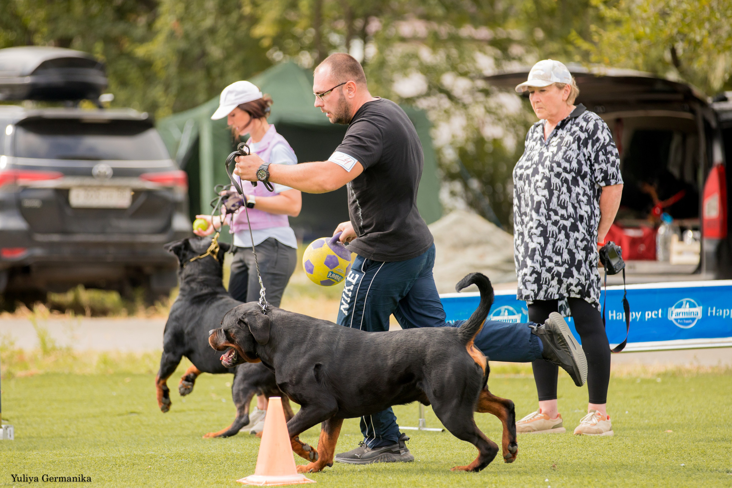 Анапа 16-17.09.2023 моно ротвейлеров. Фотограф-анималист Юлия Германика