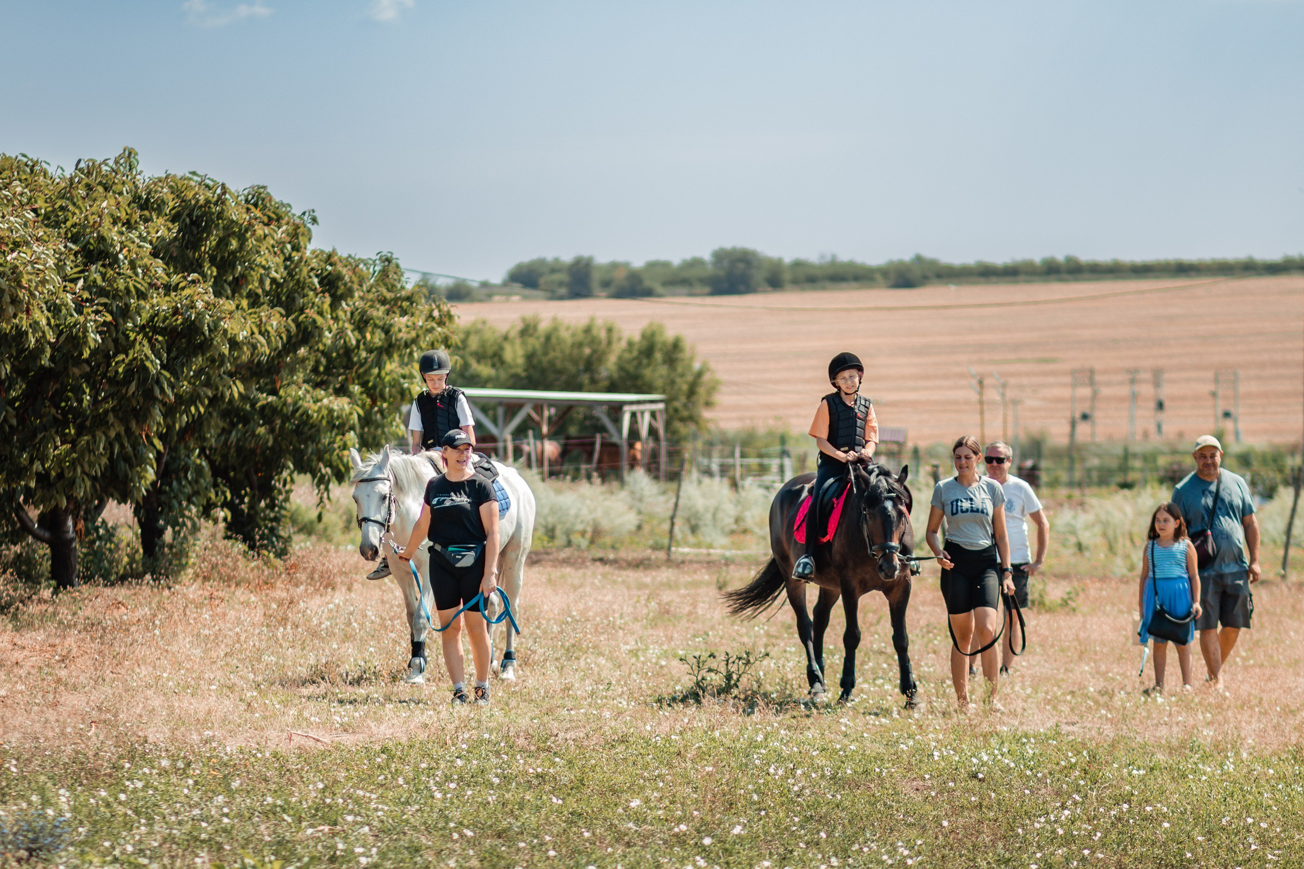Выезды в поля на лошади