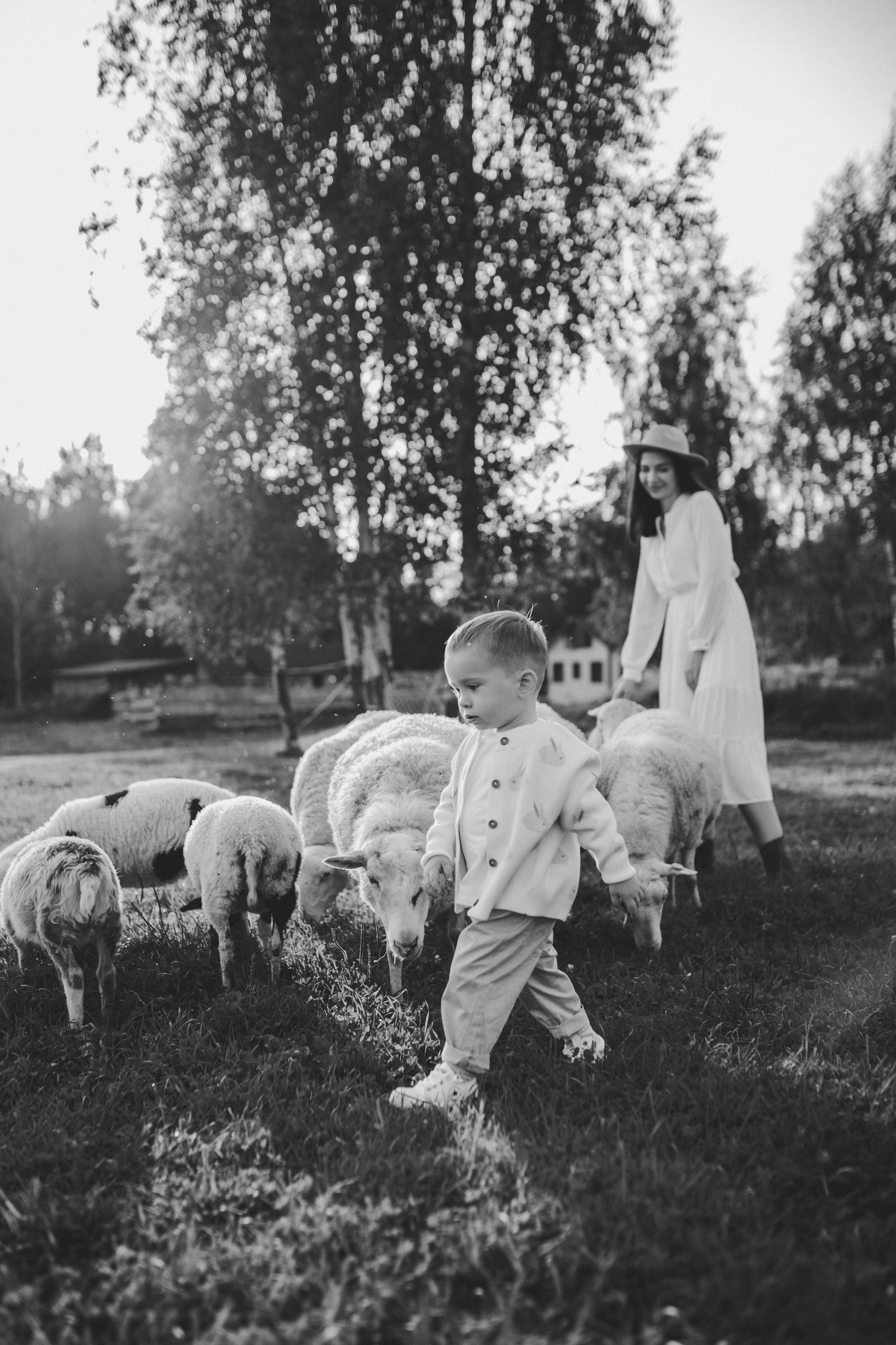 Ферма. Семейный фотограф Кристина Шахура