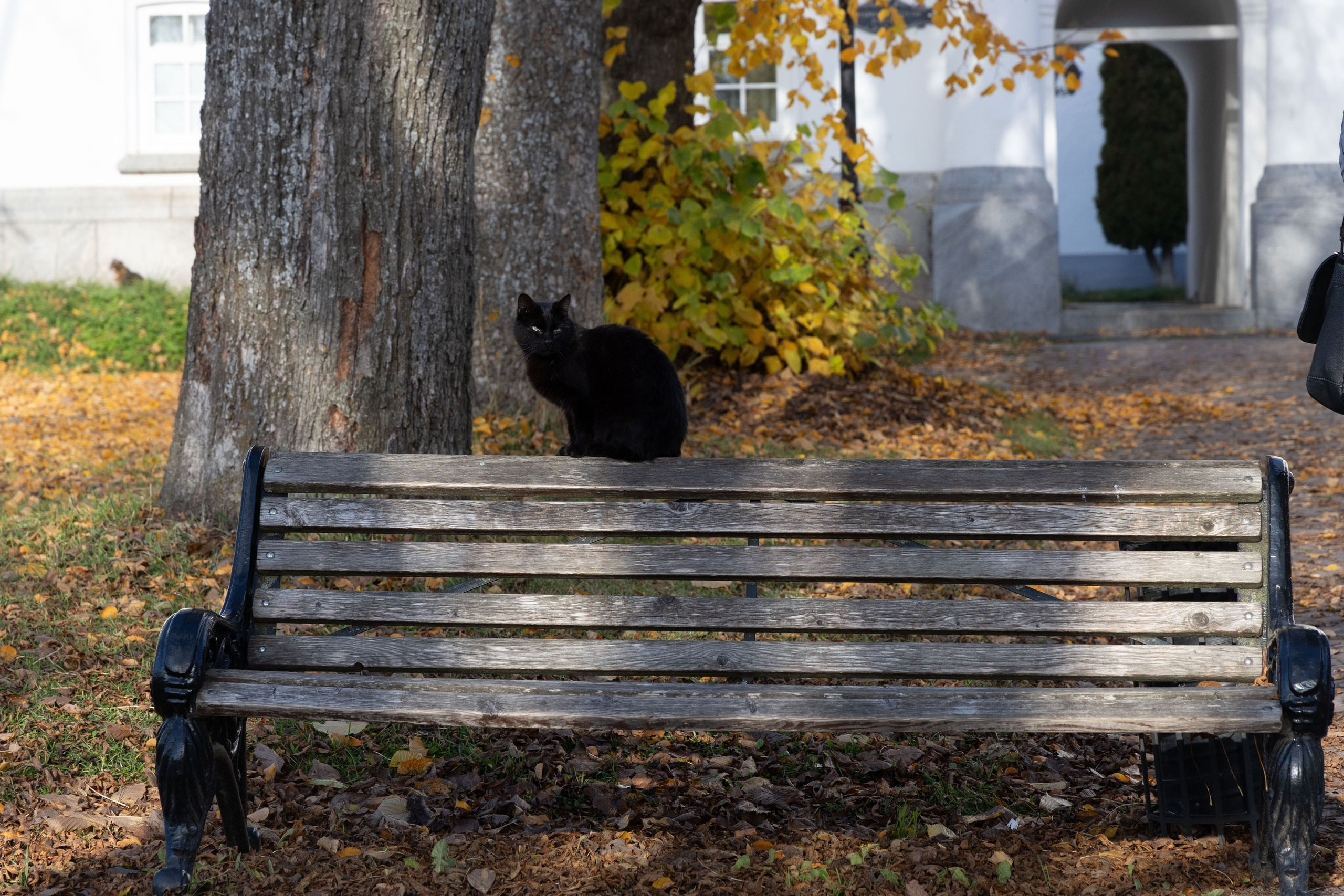 Природа Карелии октябрь 2025. Портретный и семейный фотограф Санкт-Петербург