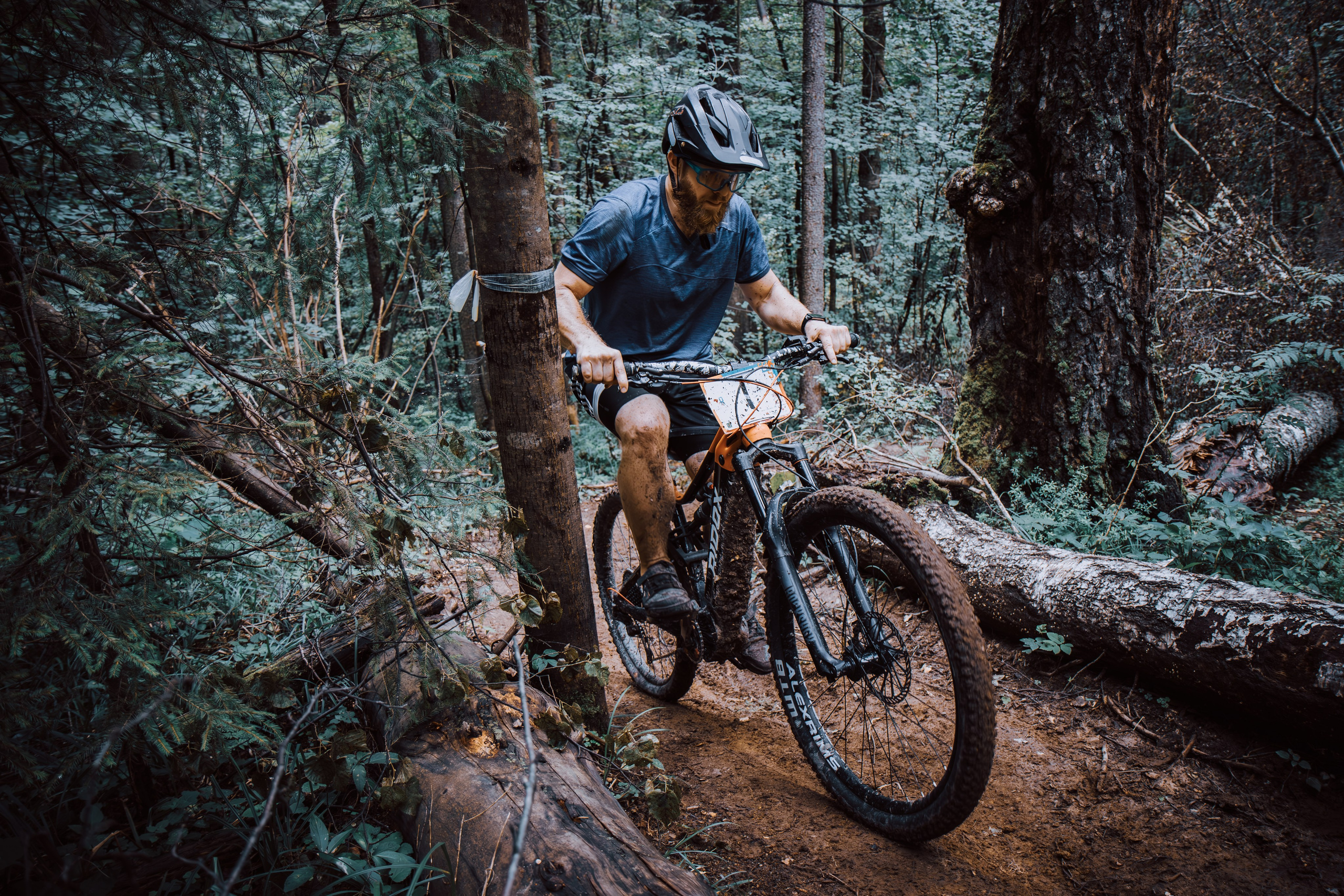 Портфолио «Спорт+»