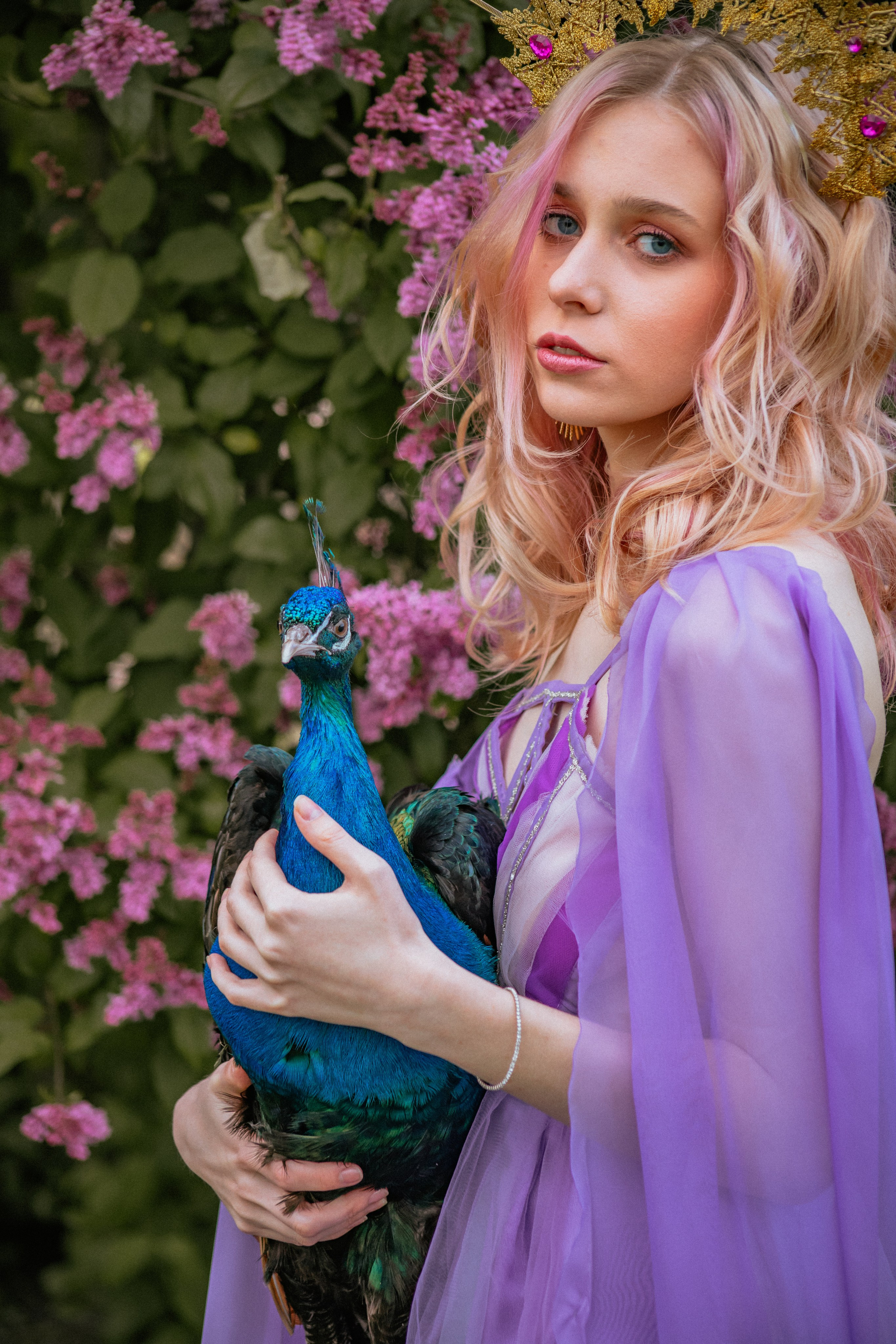 Павлин. Elena Sova — семейный и женский фотограф в Санкт-Петербурге