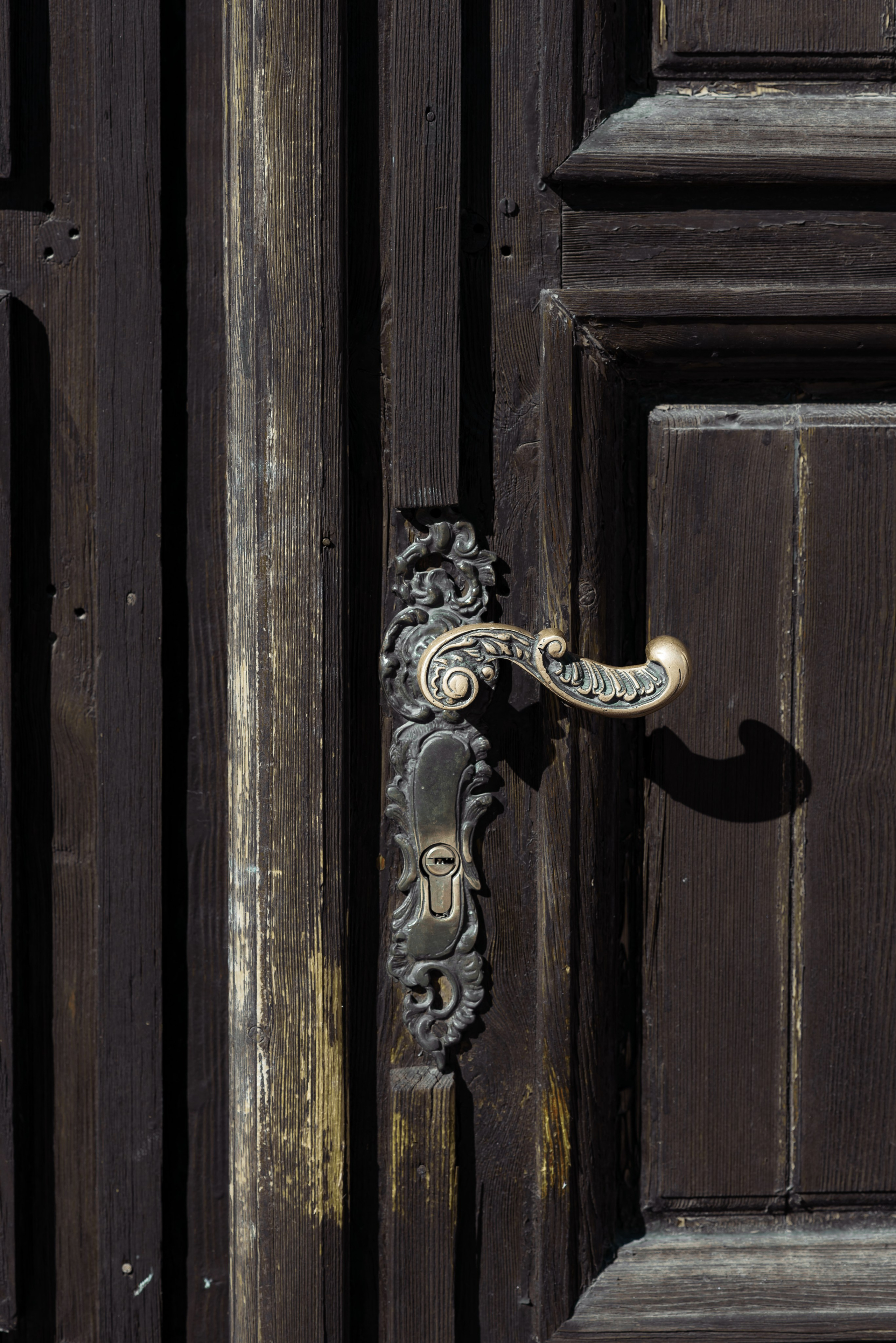 Крещение Льва. Главная