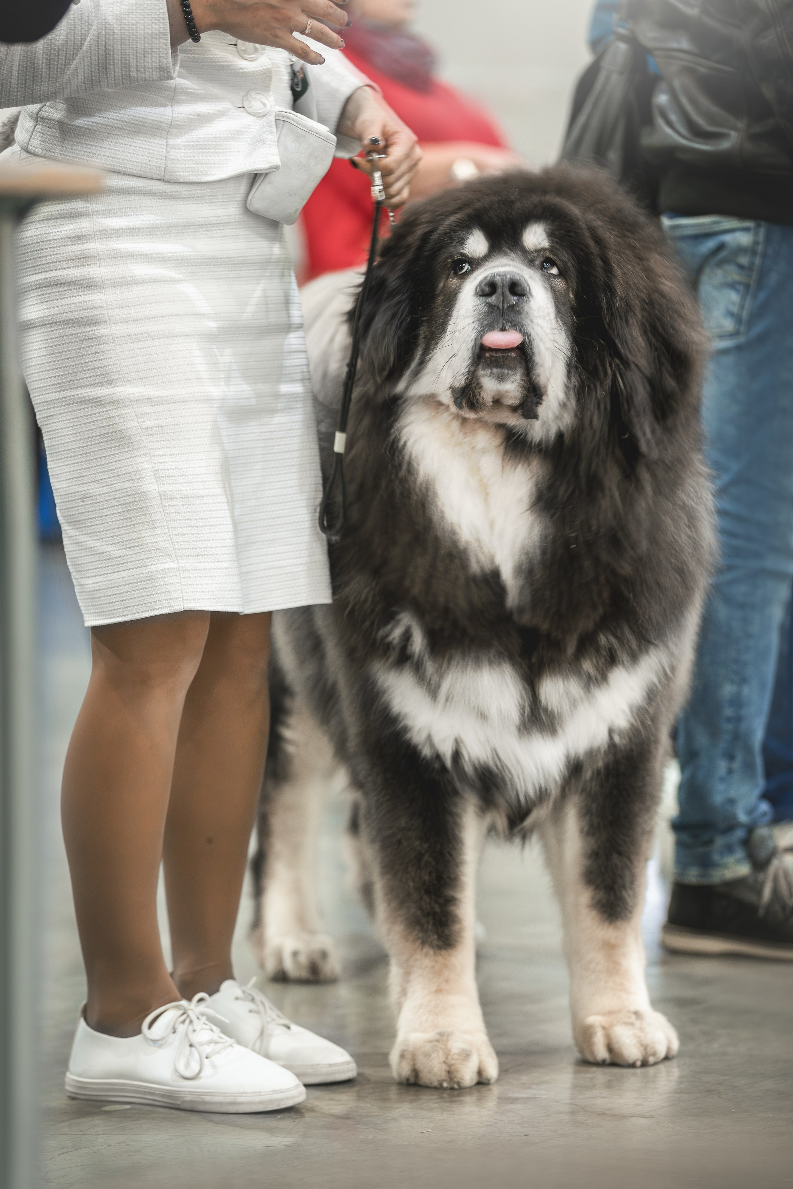 Евразия 2023. Фотограф анималист в Москве Майорова Евгения