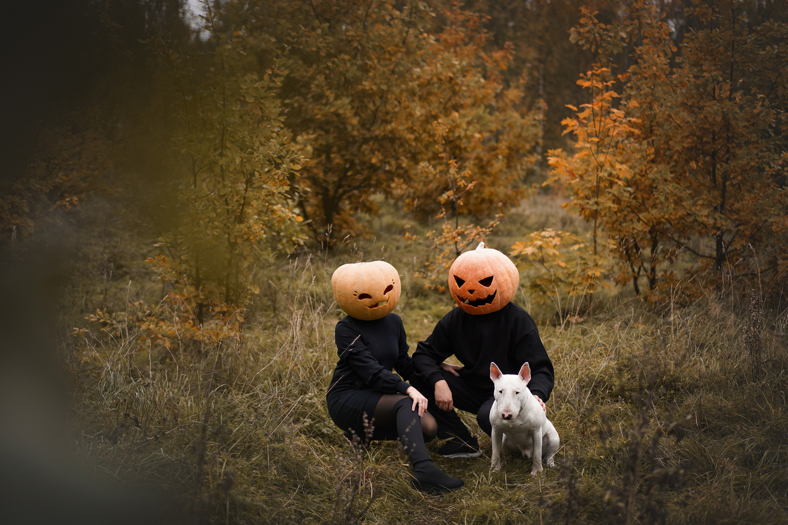 Настя Рома и Сахар Хелоуин. Фотограф-анималист в Санкт-Петербурге Яна Мартынова