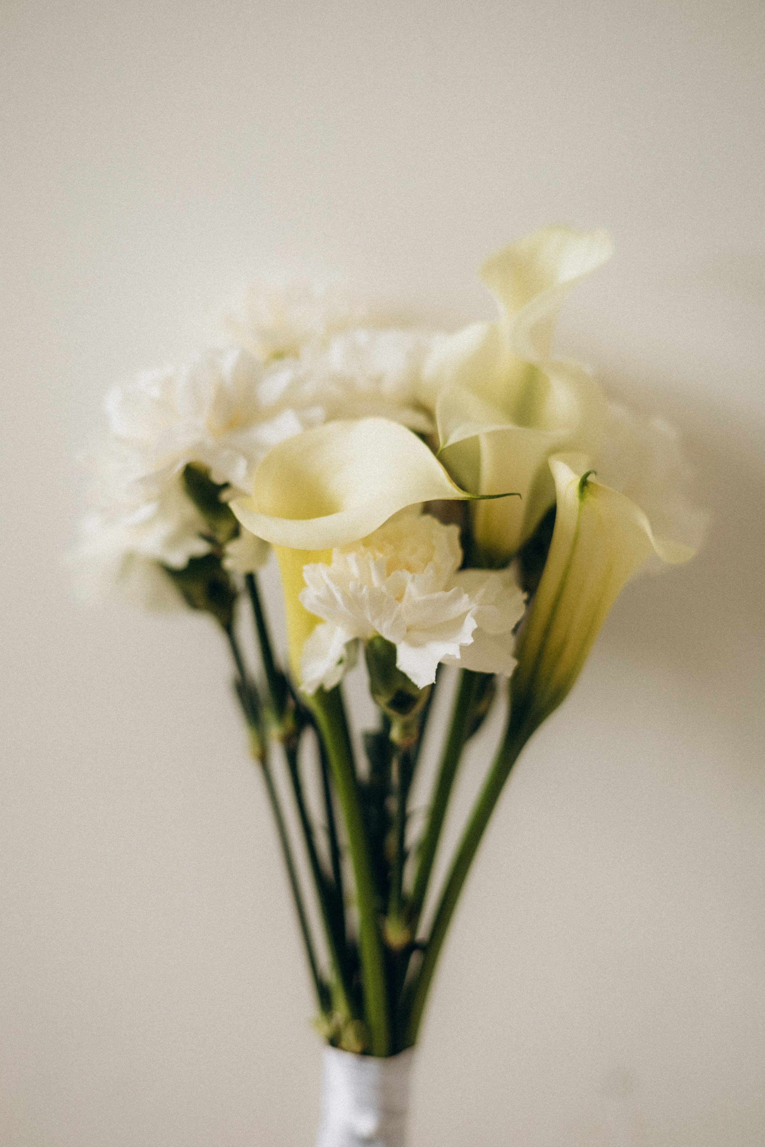 Александр и Наталья. Смирнова Алена Фотограф Екатеринбург