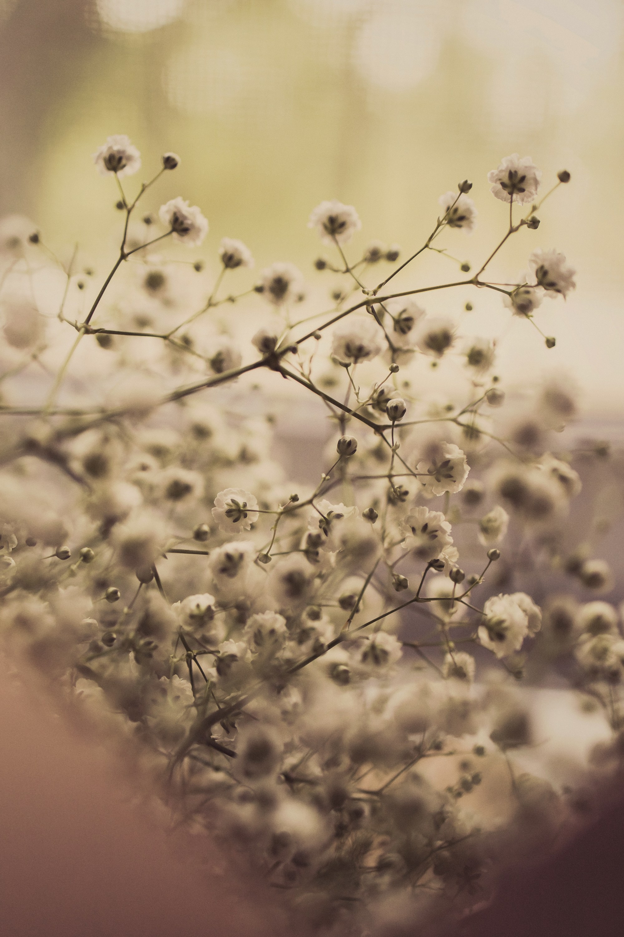 Саша II. Фотограф Наталья Гончарова. Снимаю живые портреты в Алматы