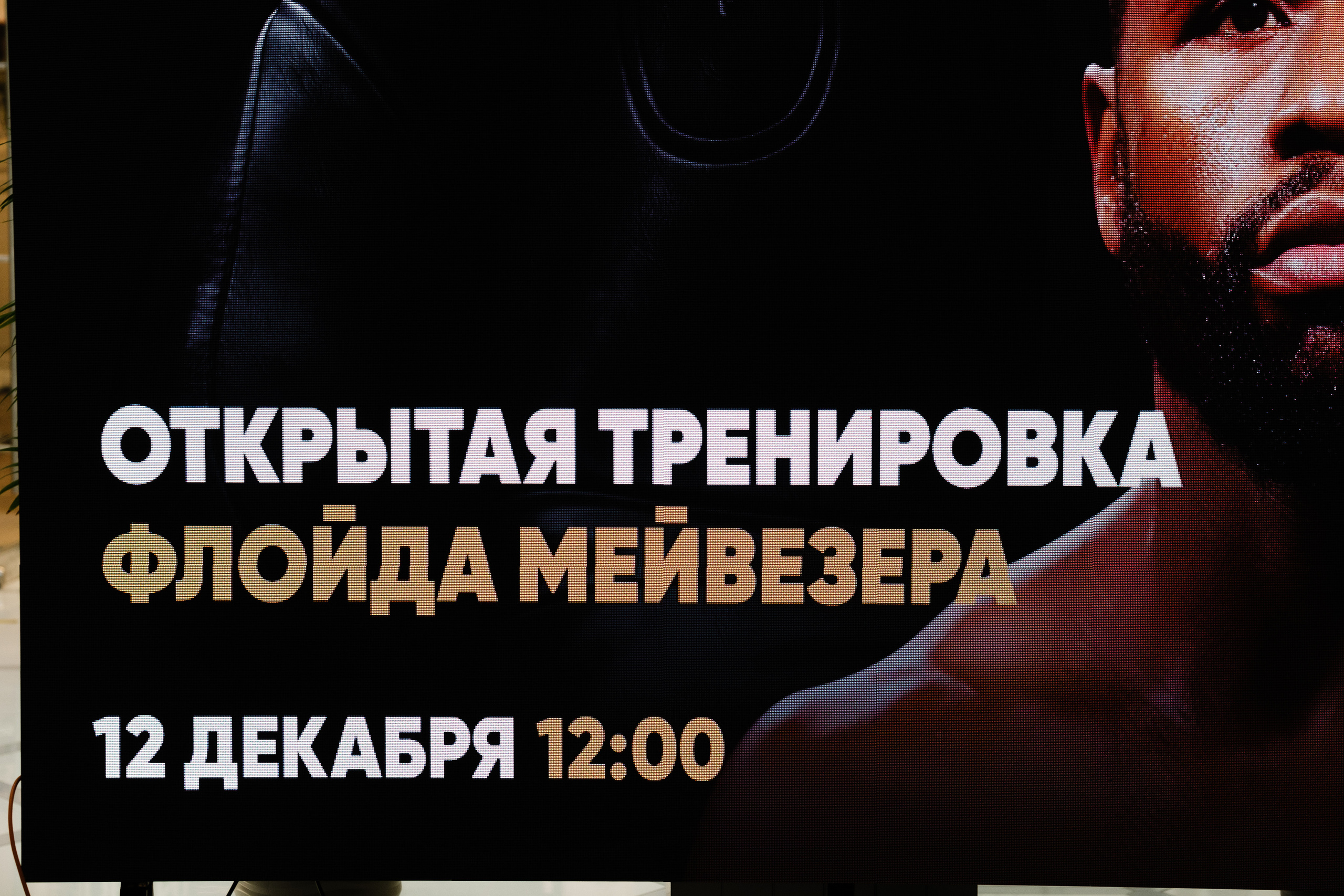 Флойд Мейвезер конференция и открытие зала бокса в Москве. Свадебные фотосессии в Москве. Фотограф Сергей Ржевский