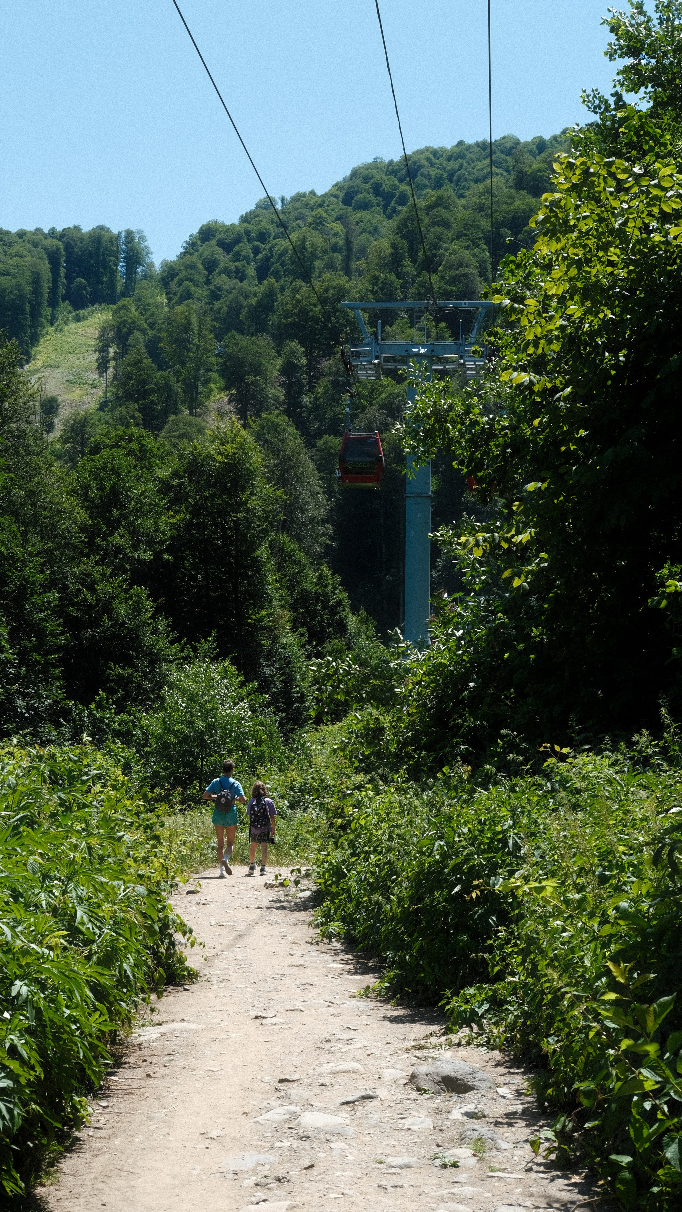 Сочи. Фотограф Сергей Красников