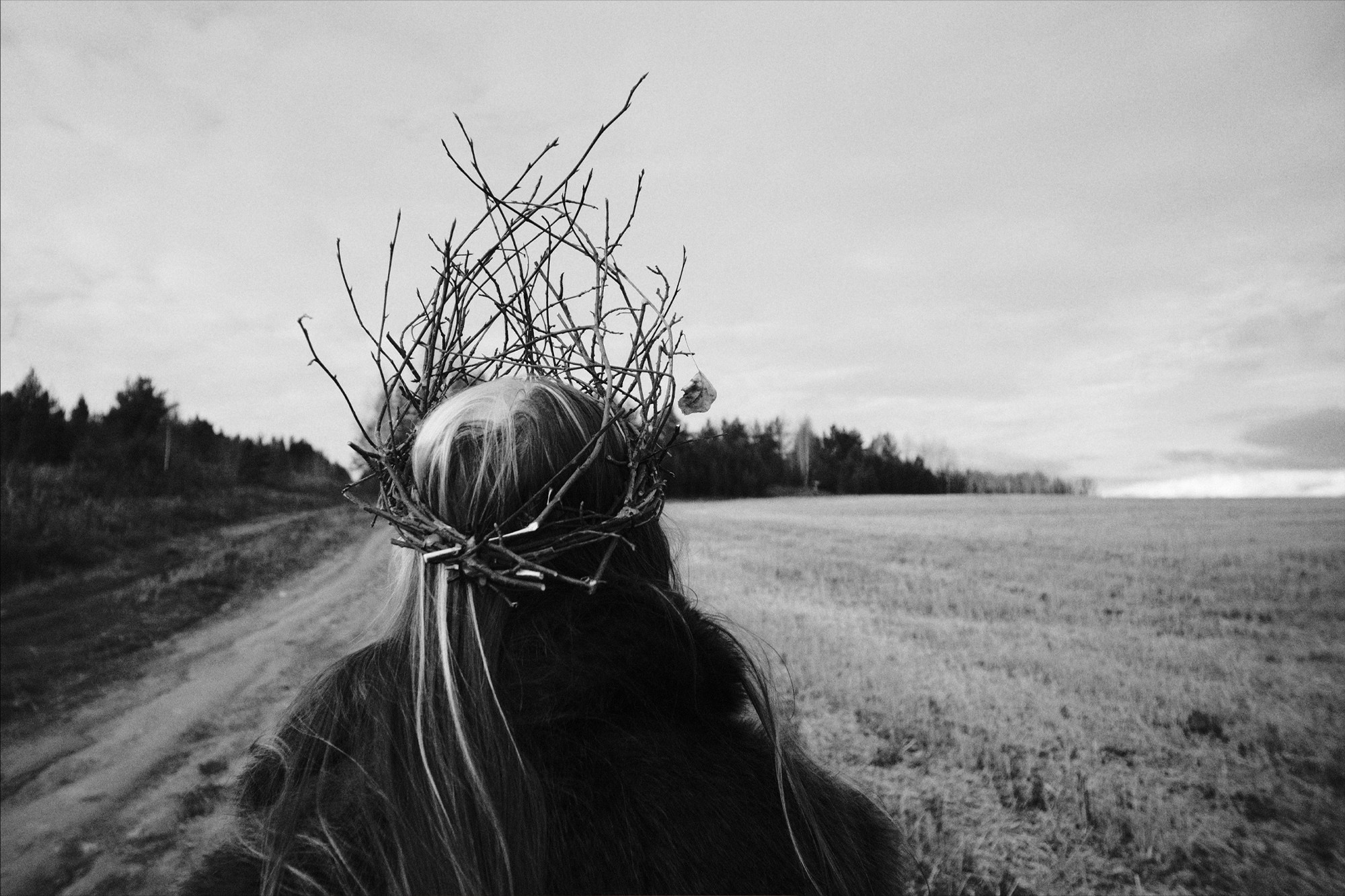 Roaming / fields. Фотография Alexander Palkin