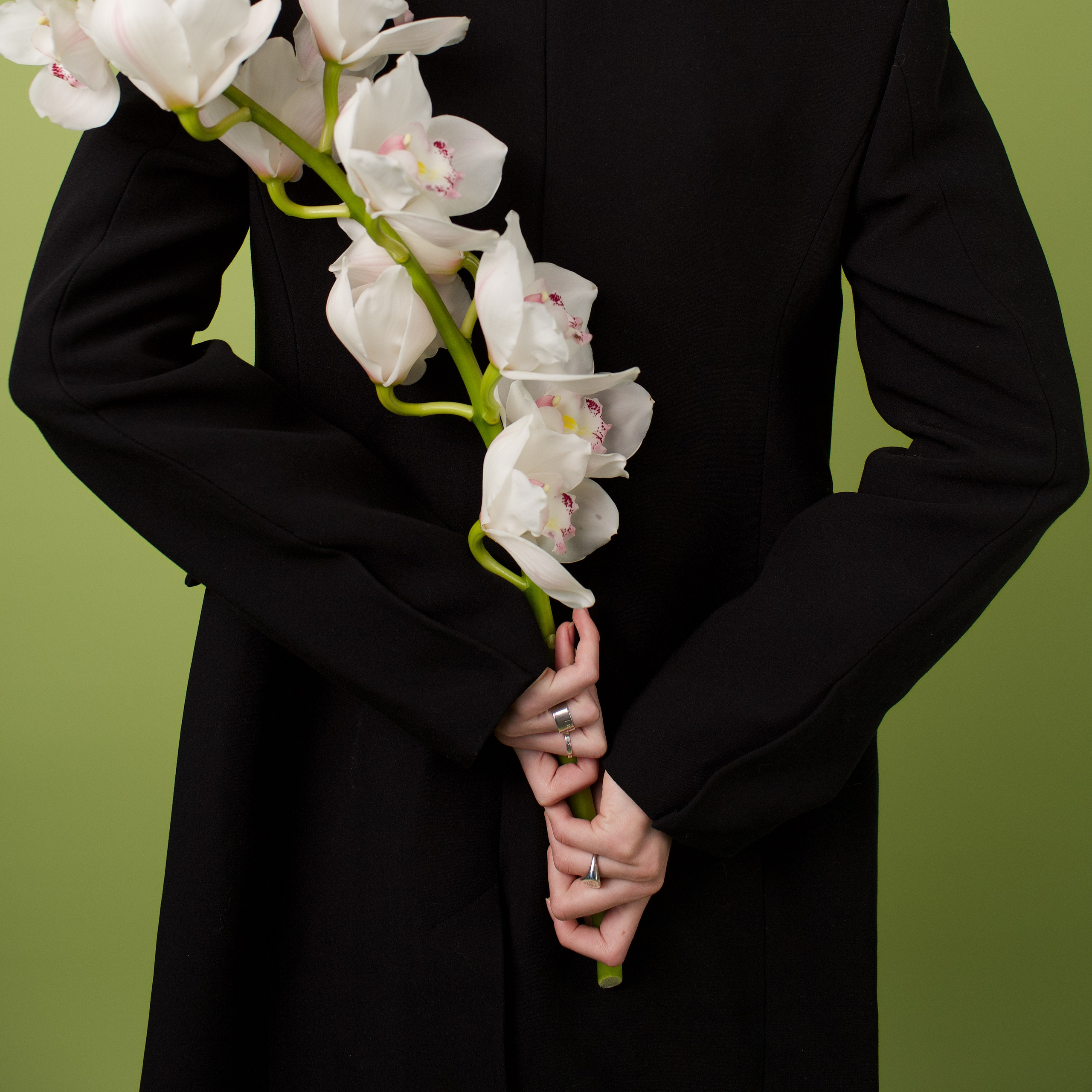 Алена. Главная