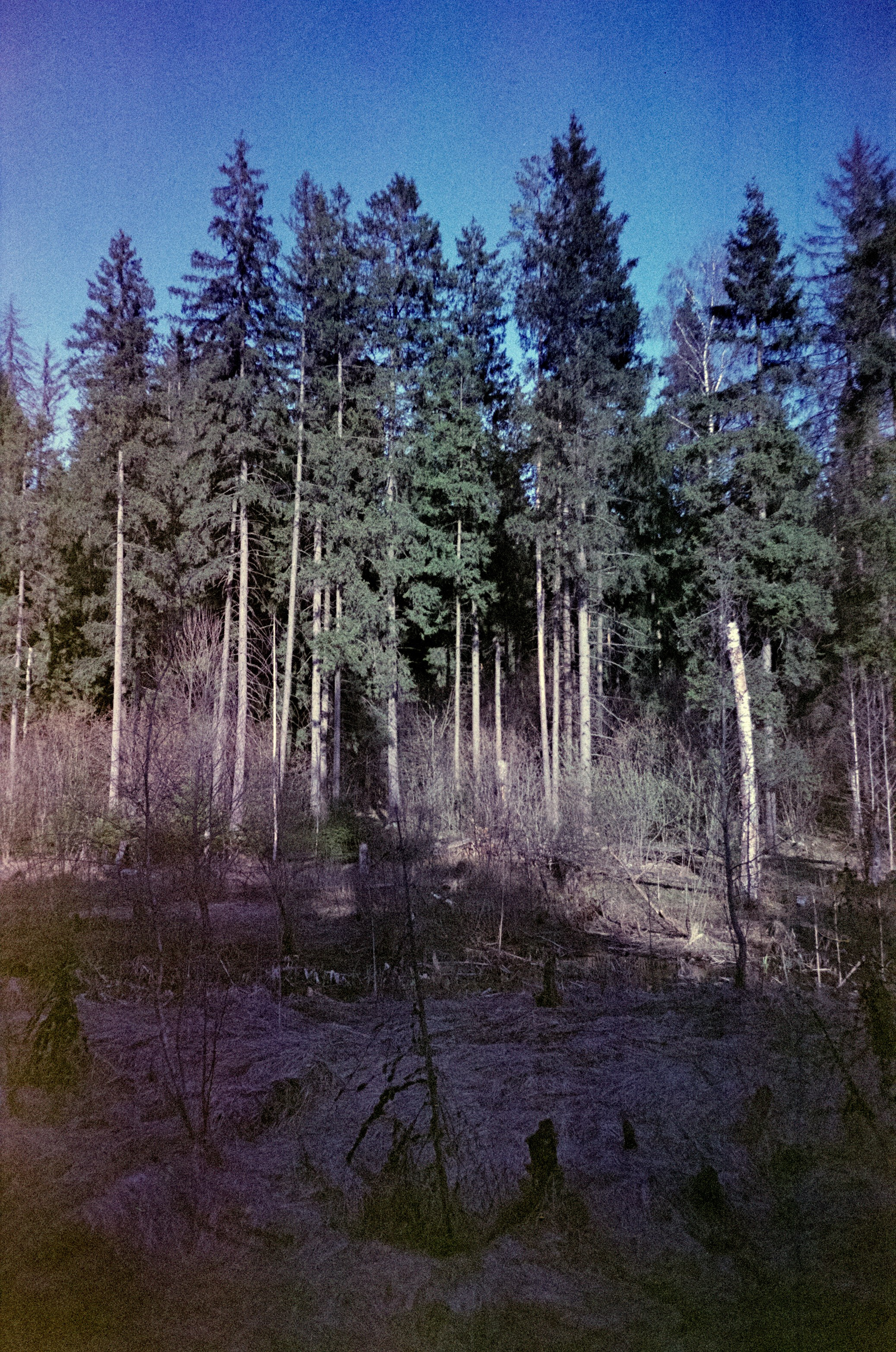 Ricoh R1 | Fujicolor Superia X-tra 400 (просрочка) @ ISO 100