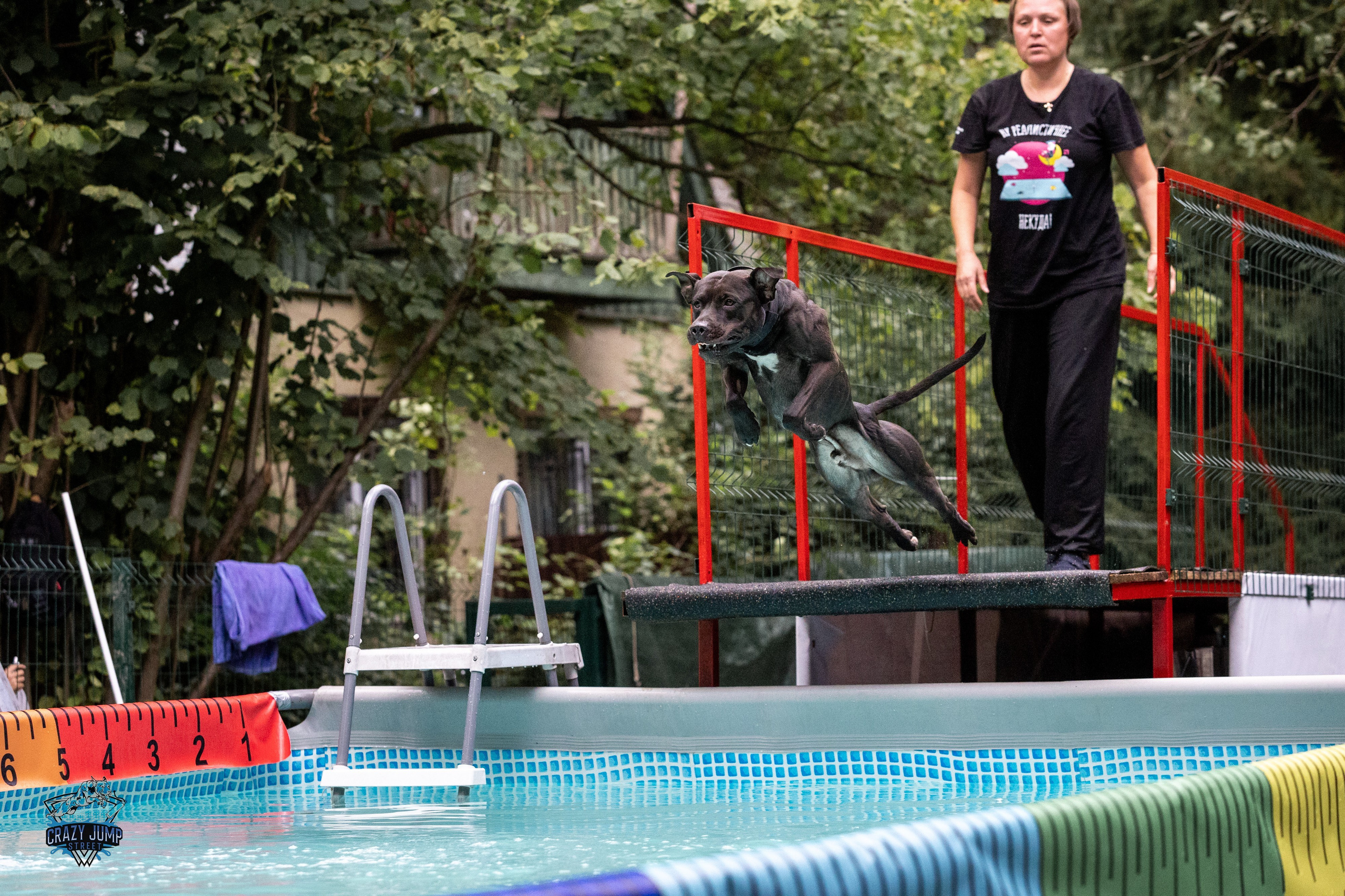 Собаки, спорт, Док дайвинг. Свадебный и репортажный фотограф в Москве и Московской области