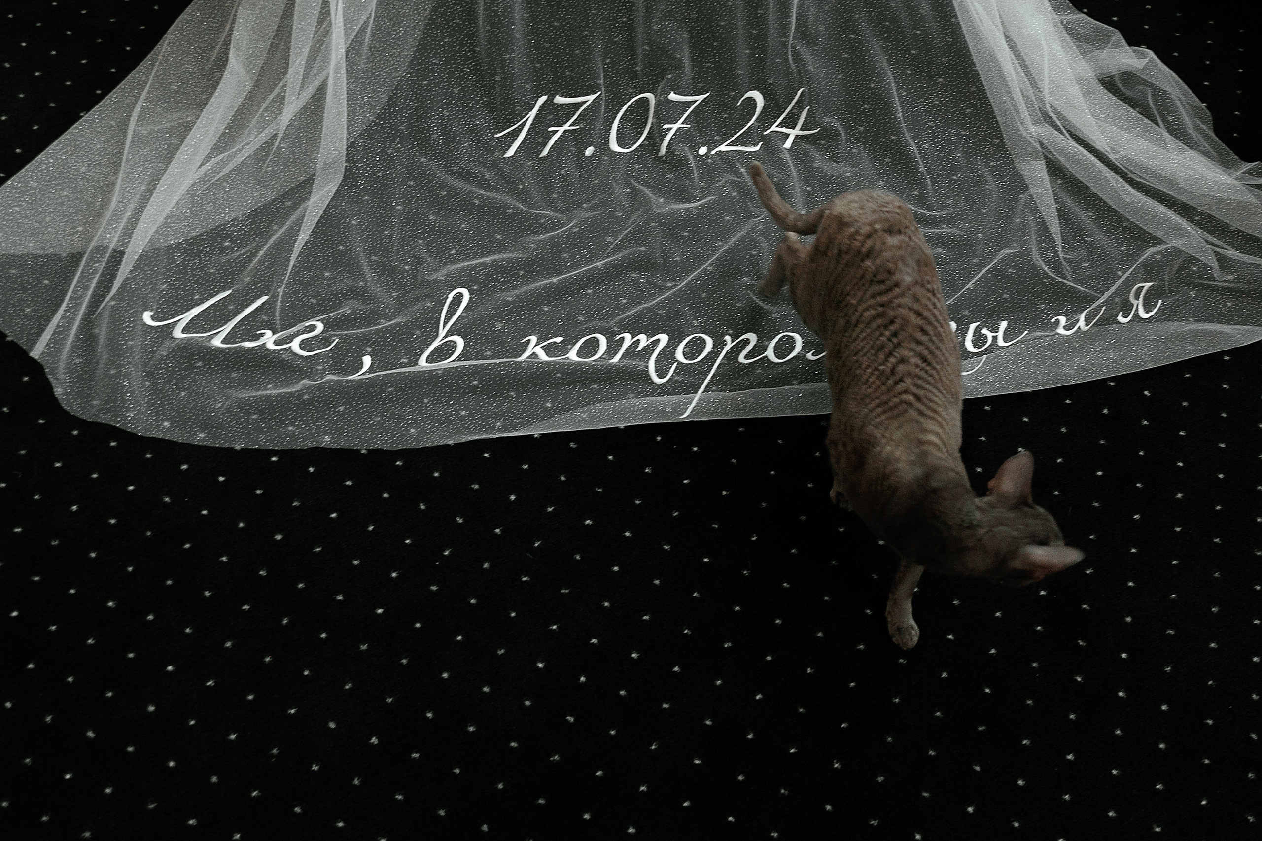 Юрий и Анастасия. Свадебный и семейный фотограф Харольцева Наталья