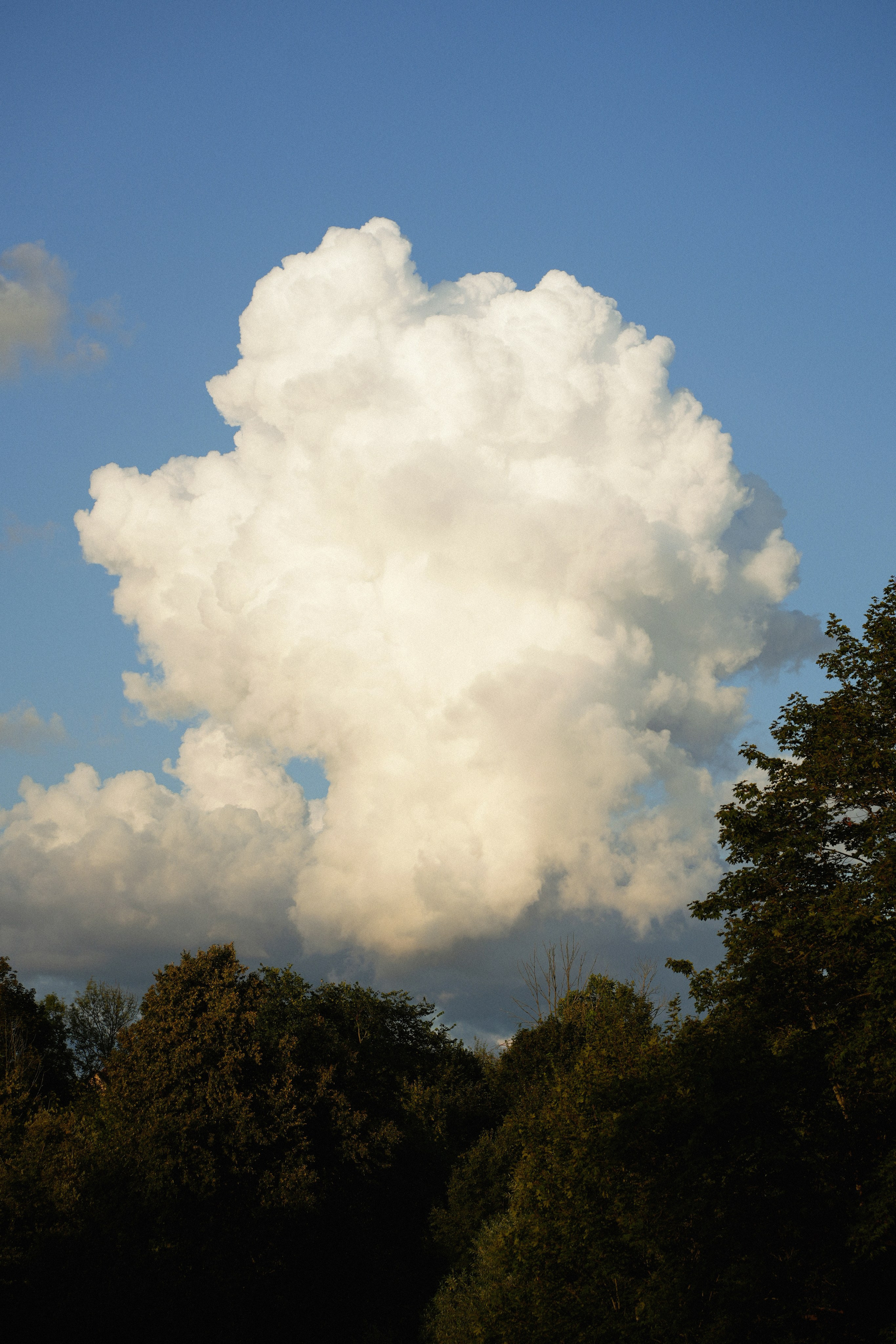 KATYA&SASHA. ANNA — PHOTOGRAPHER