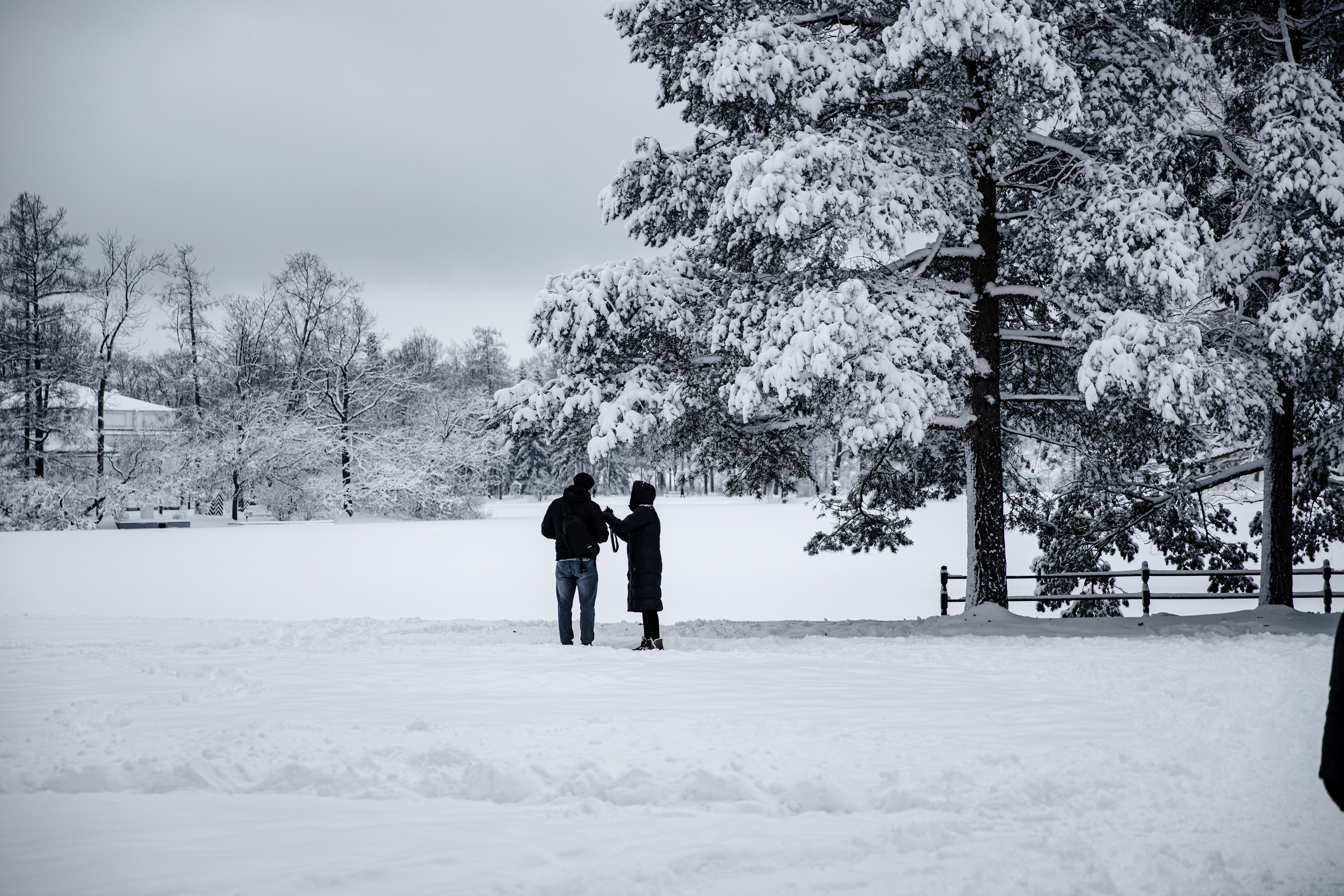 Фото с прогулок и с поездок на Кольский полуостров