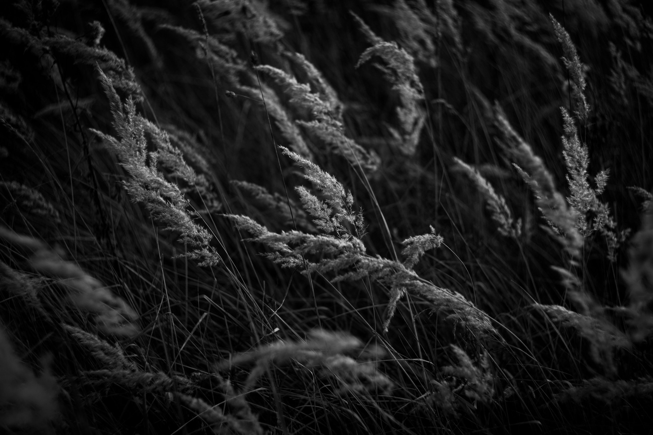 Сентябрь 2023. Efremovaphoto.ru