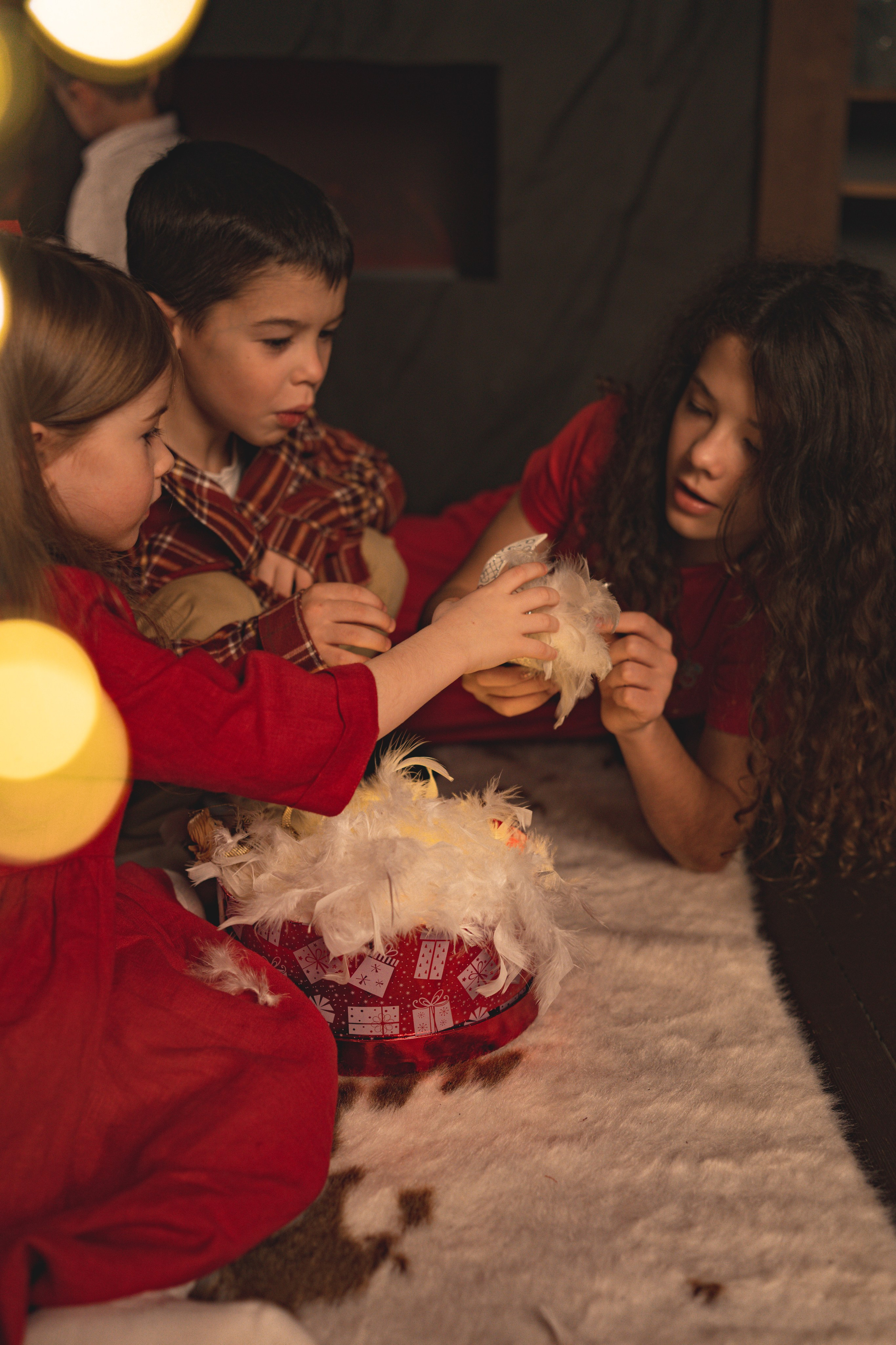 Новогодняя история большой прекрасной семьи Ирины. Семейный и портретный фотограф в Санкт-Петербурге Татьяна Гримоть