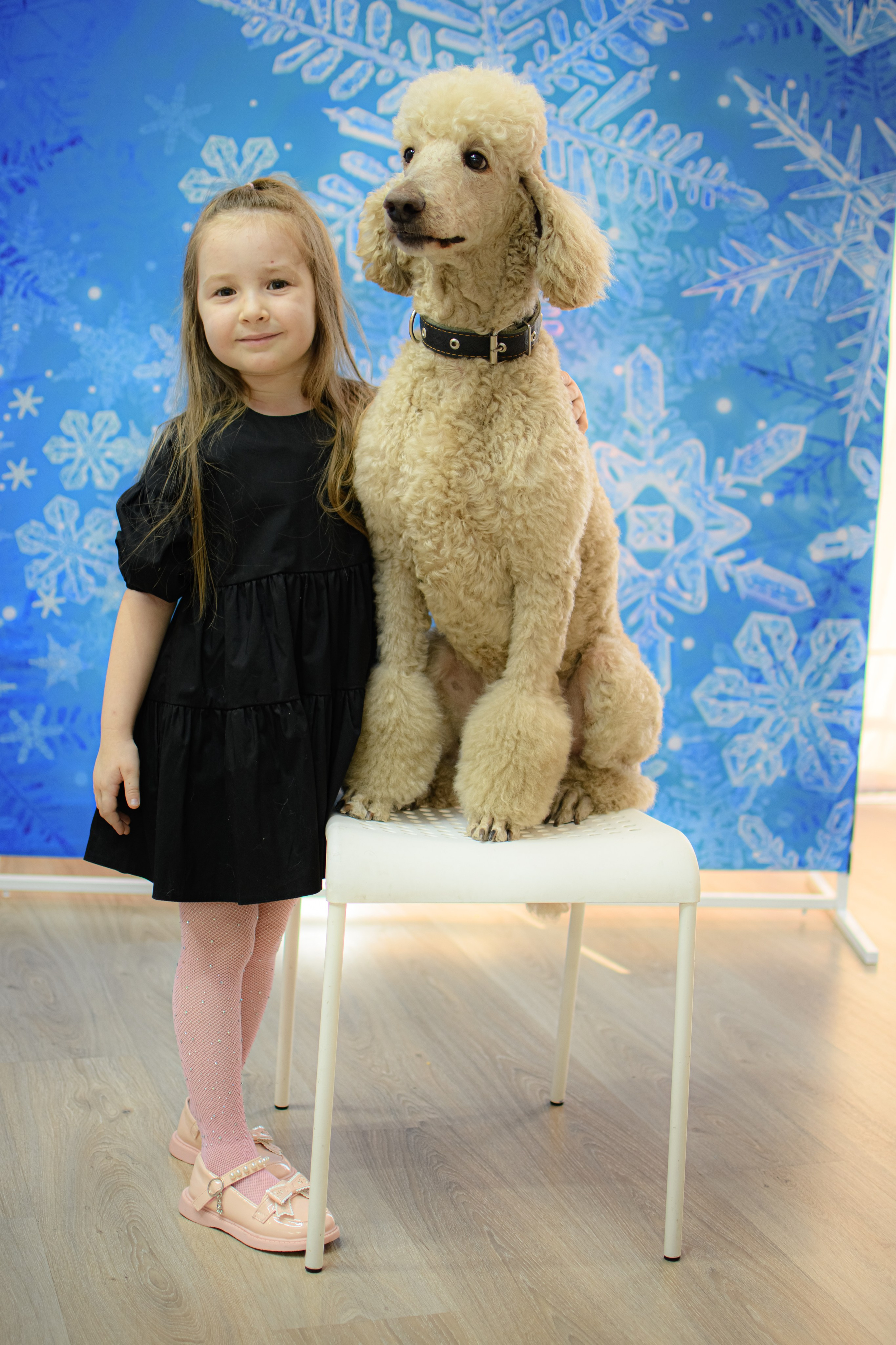 HAPPY NEW YEAR. Photokarish