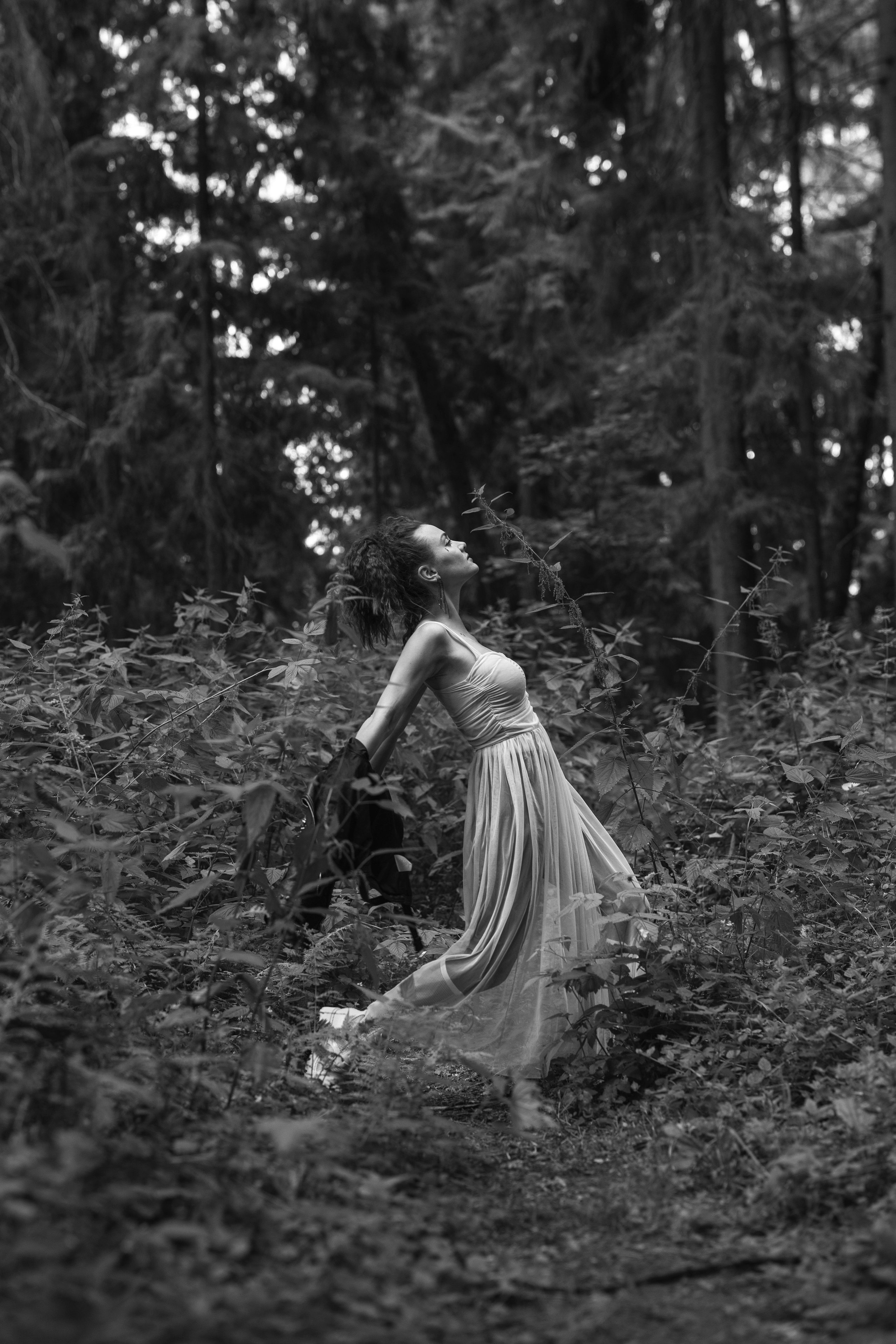 Лес. Юрий Белозёров фотограф