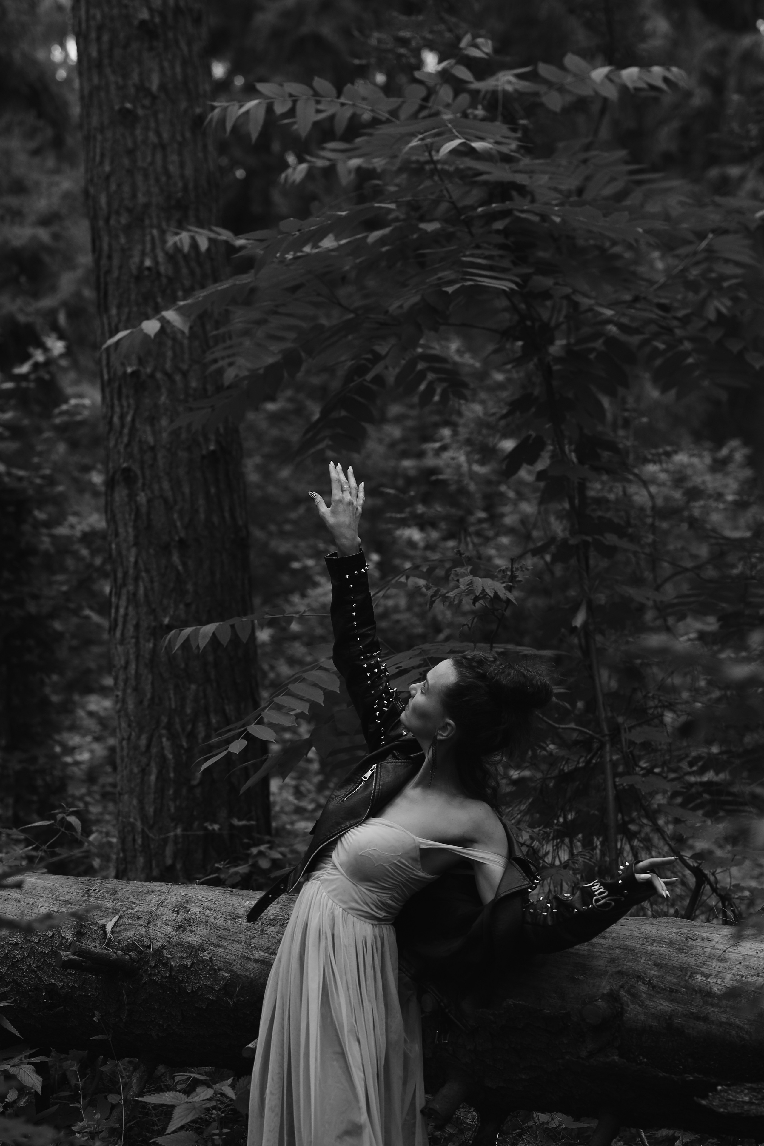 Лес. Юрий Белозёров фотограф