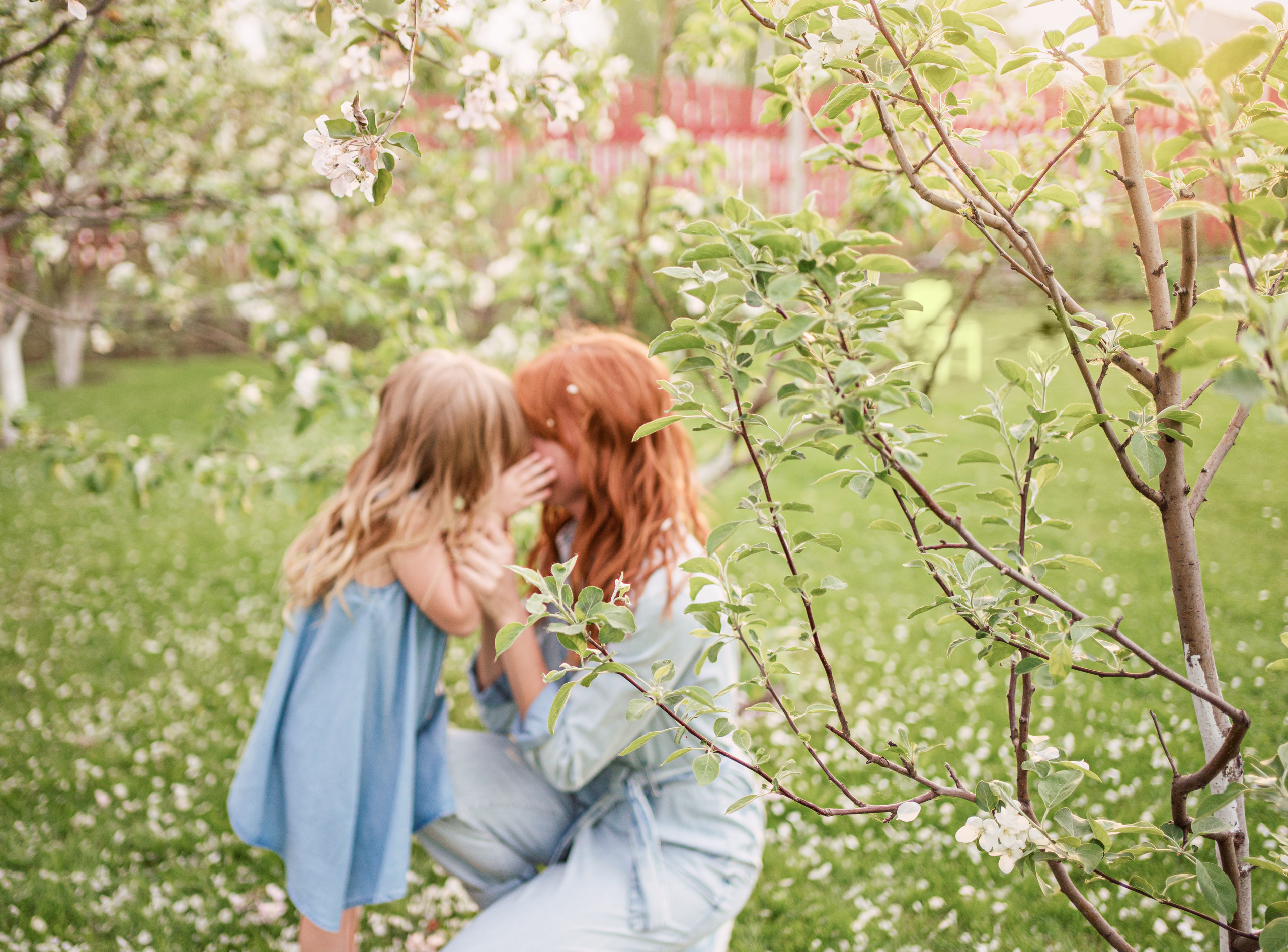 Яблоневый сад. Семейный фотограф, фотосессия беременности в Новосибирске Кристина Киб