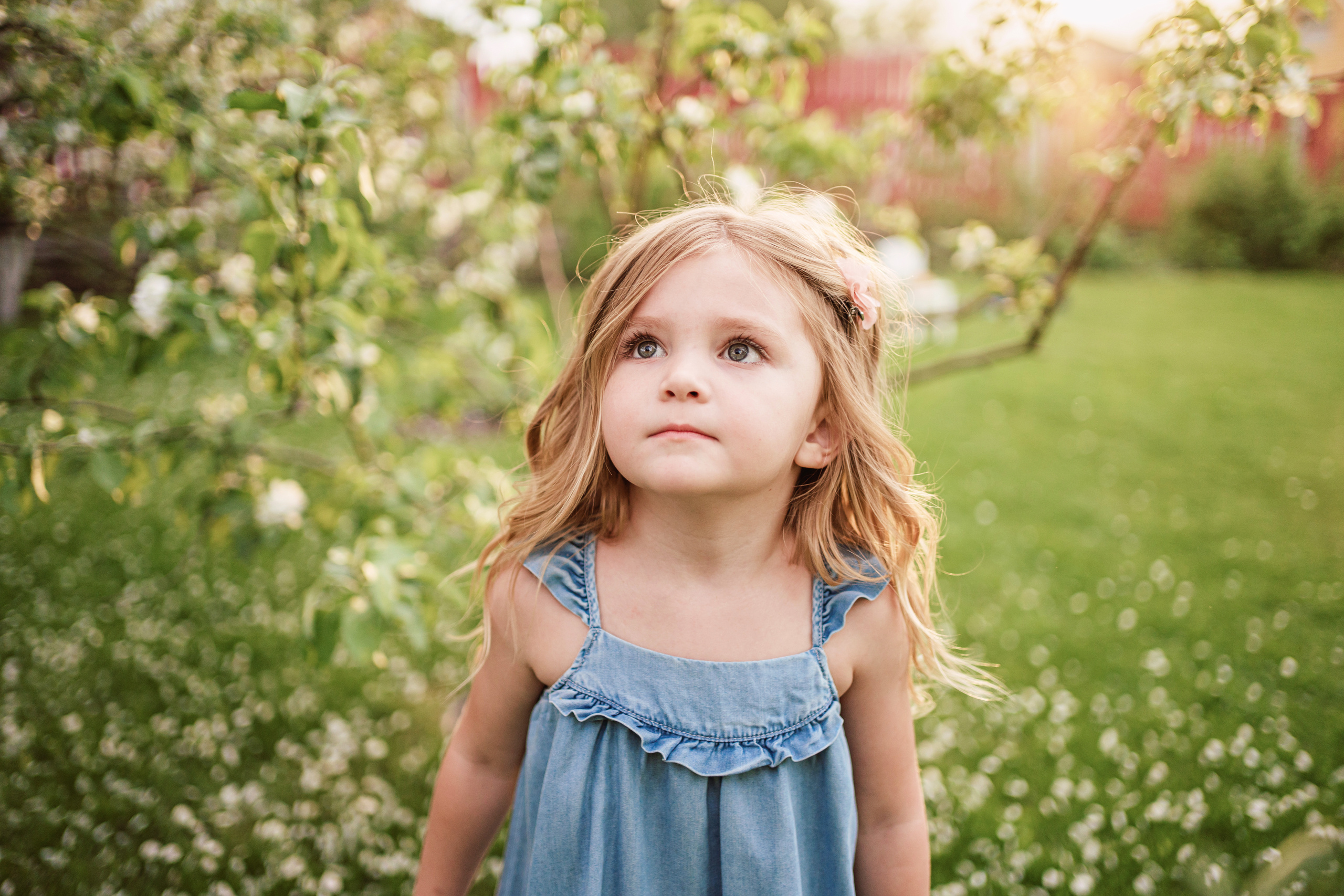 Яблоневый сад. Семейный фотограф, фотосессия беременности в Новосибирске Кристина Киб