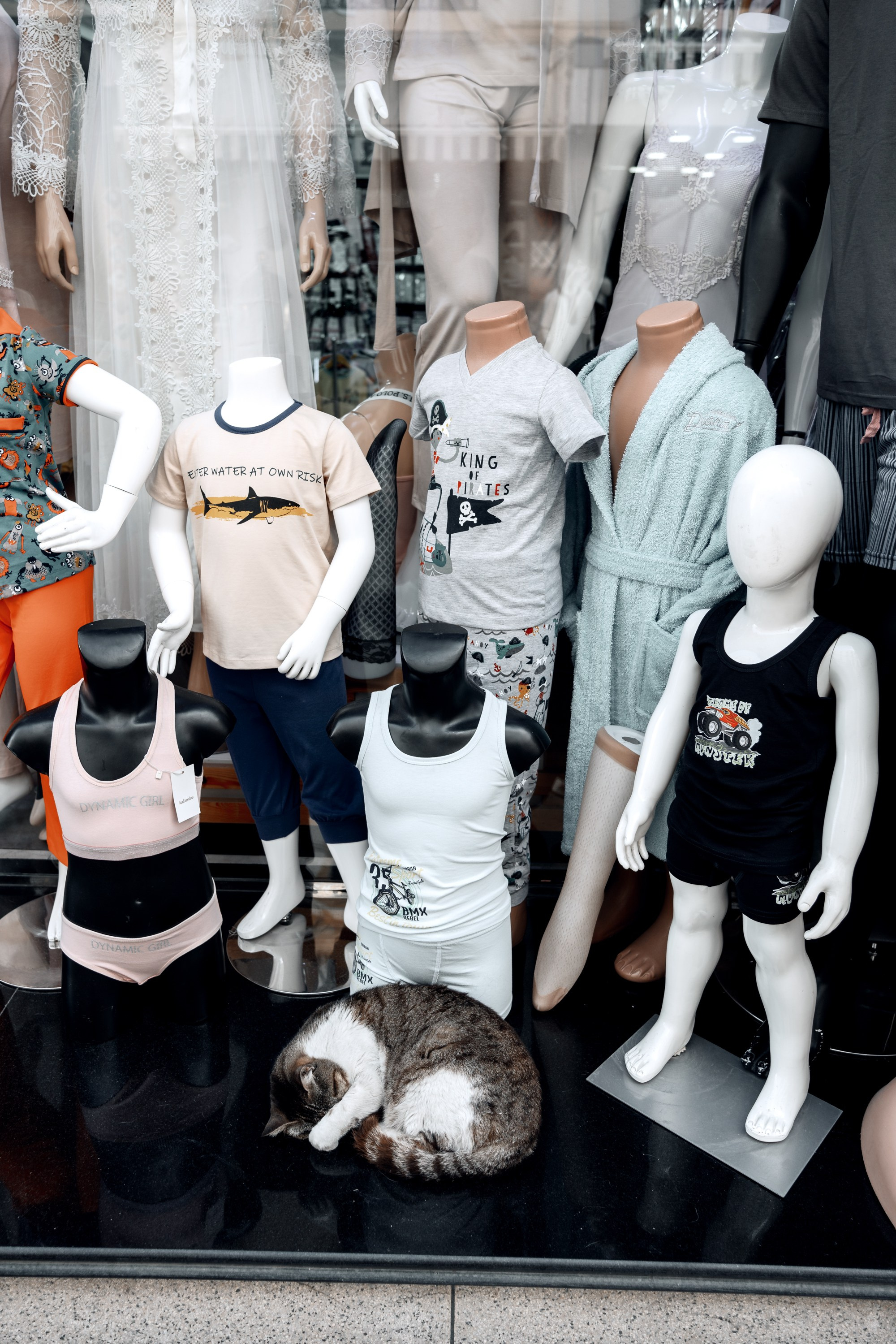 Северная Африка: Тунис, Марокко. Фотограф в Хабаровске. Фотография за 24 часа