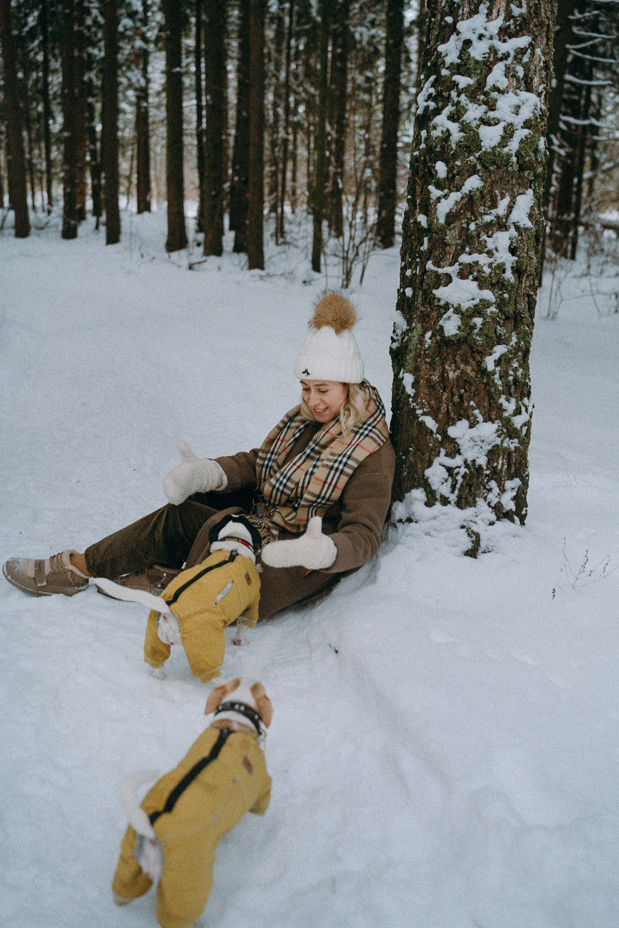 Алина, Ваниль и Элис. Фотограф анималист в Москве и Санкт-Петербурге Свиридова Анна