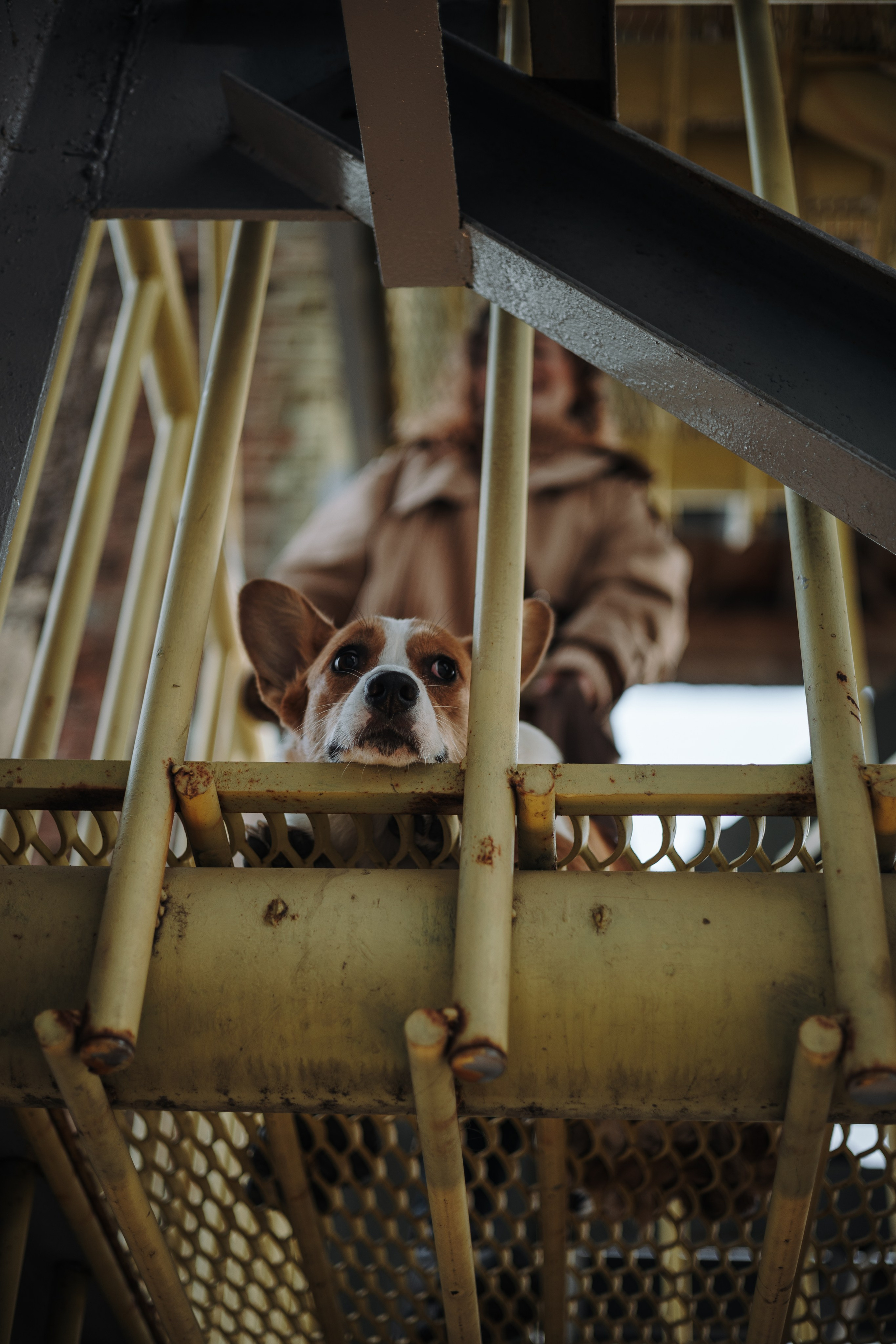 Александра и Мика. Фотограф животных Евгения Верцинская