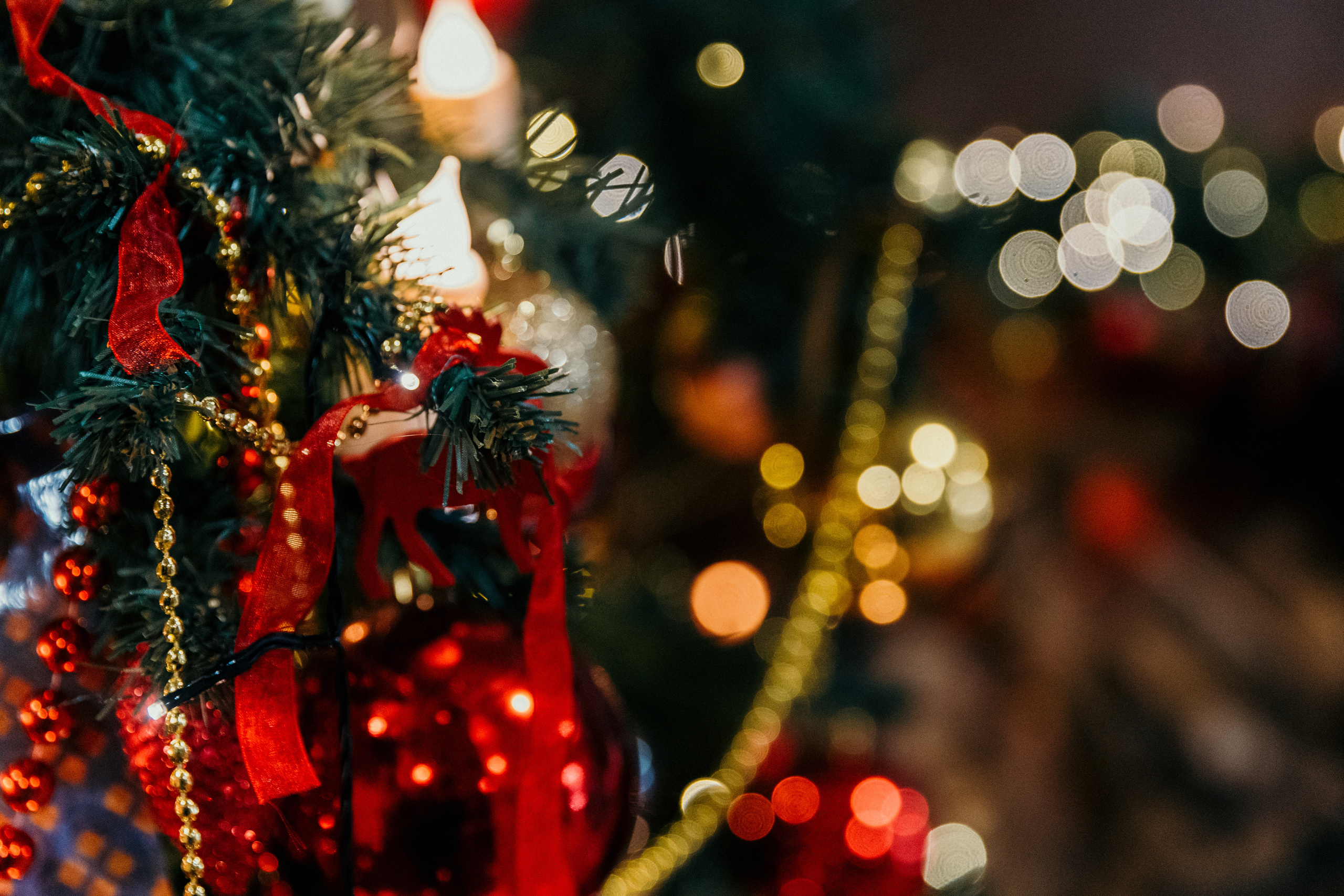 Дед Мороз и Снегурочка. Фотограф Никита Комаров