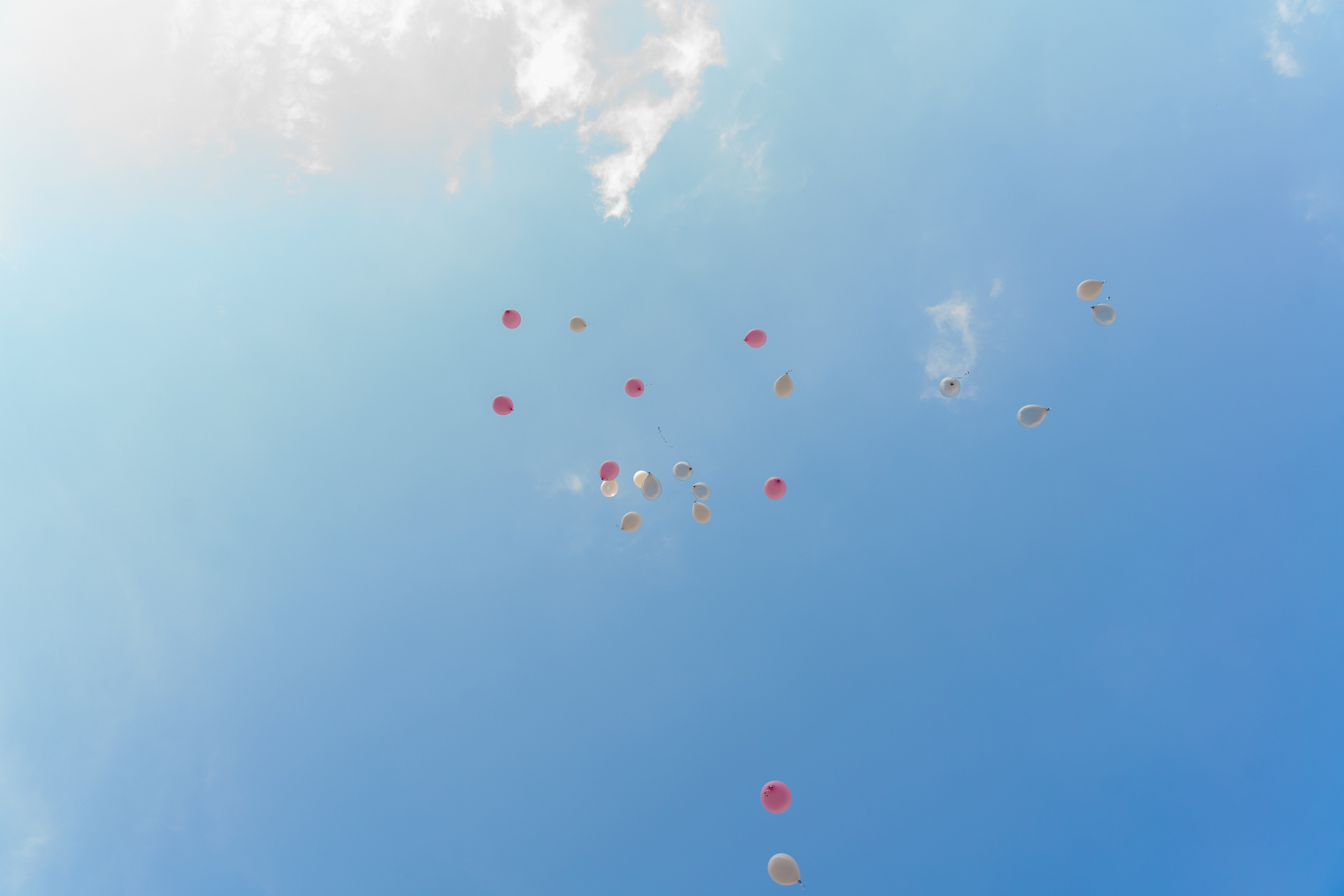 Екатерина и Вячеслав. Фотограф Никита Комаров