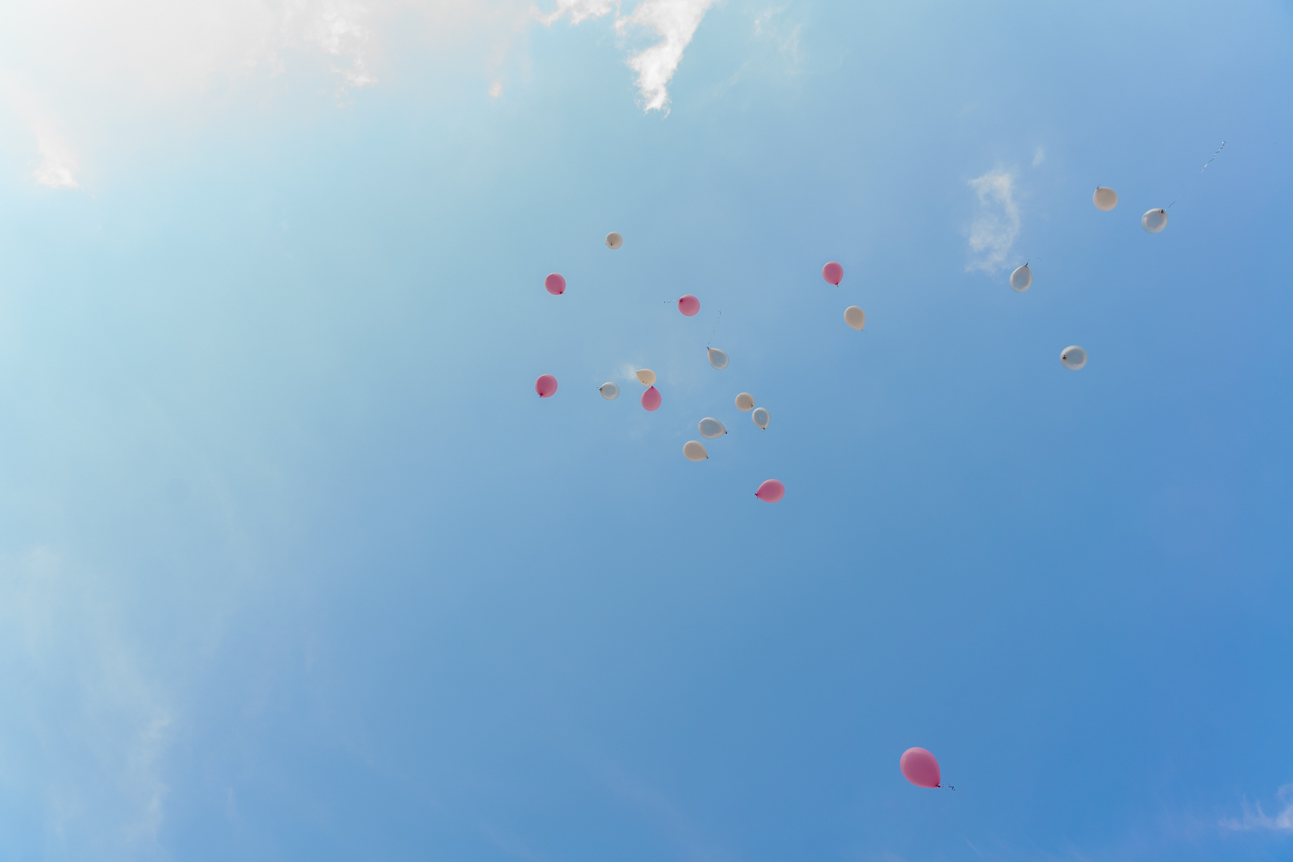 Екатерина и Вячеслав. Фотограф Никита Комаров