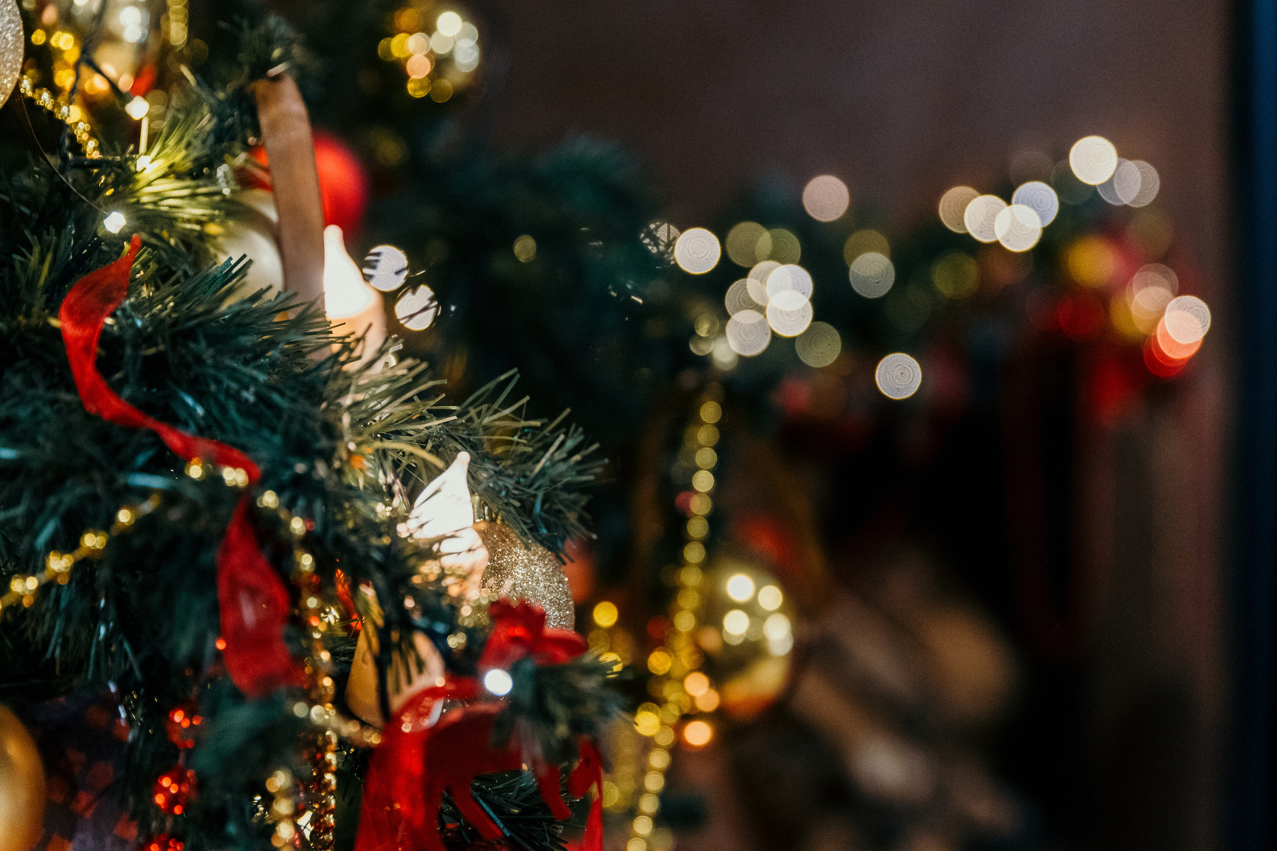 Дед Мороз и Снегурочка. Фотограф Никита Комаров