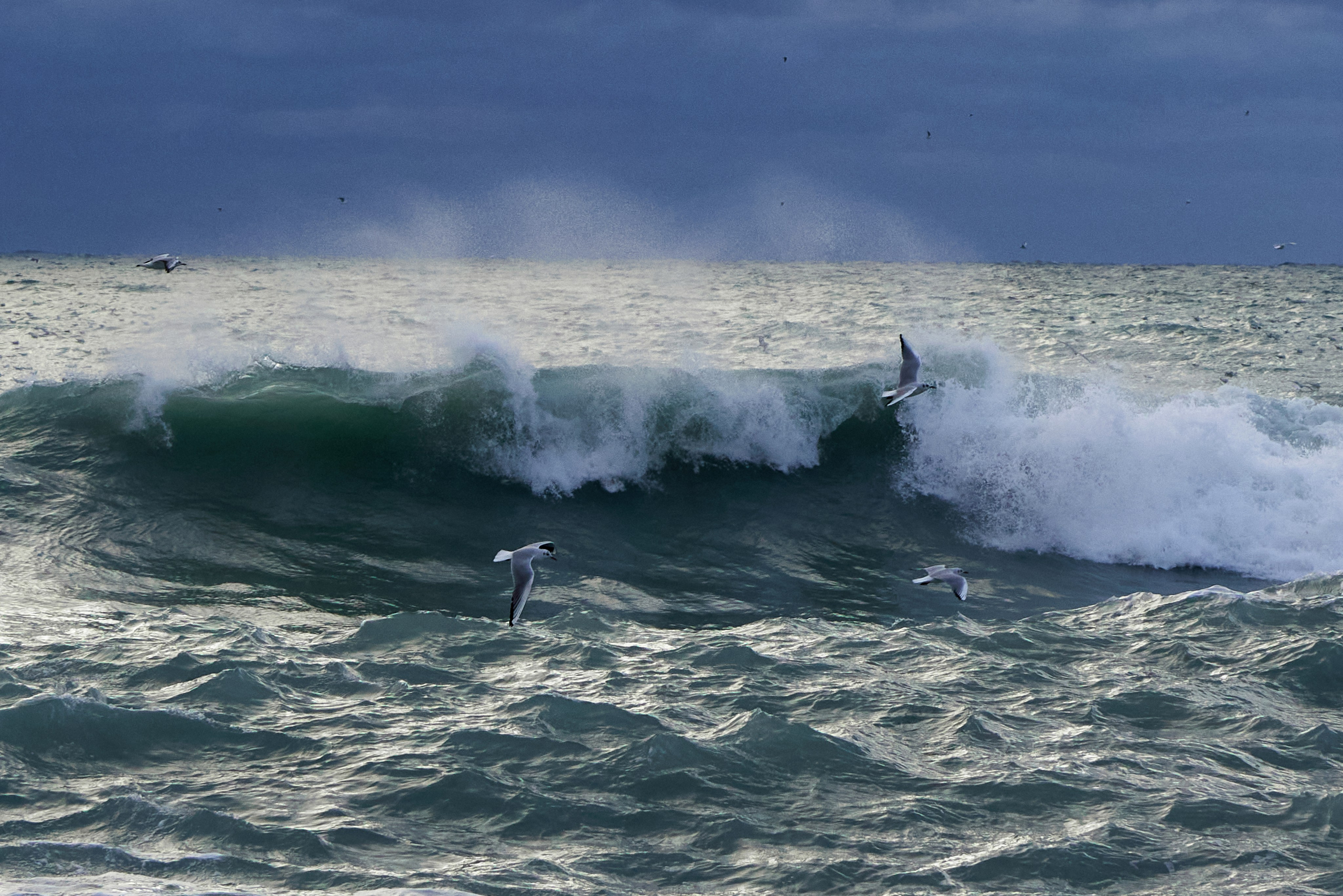 Фотографии улиц и пляжей Анапы. Профессиональный фотограф в Анапе Артем Ковальский