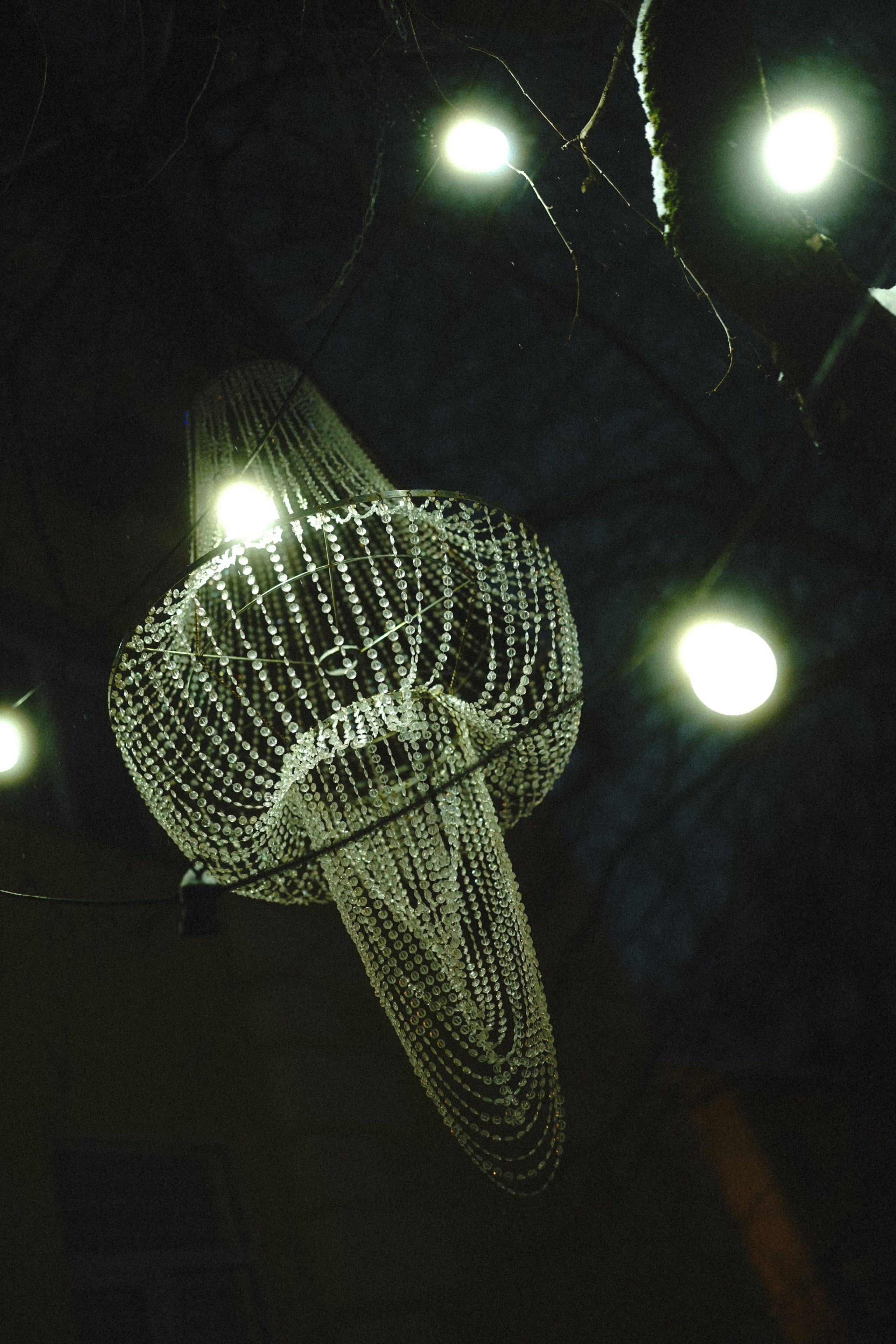 Фотодневник: в цвете. Фотограф Д. Куценков