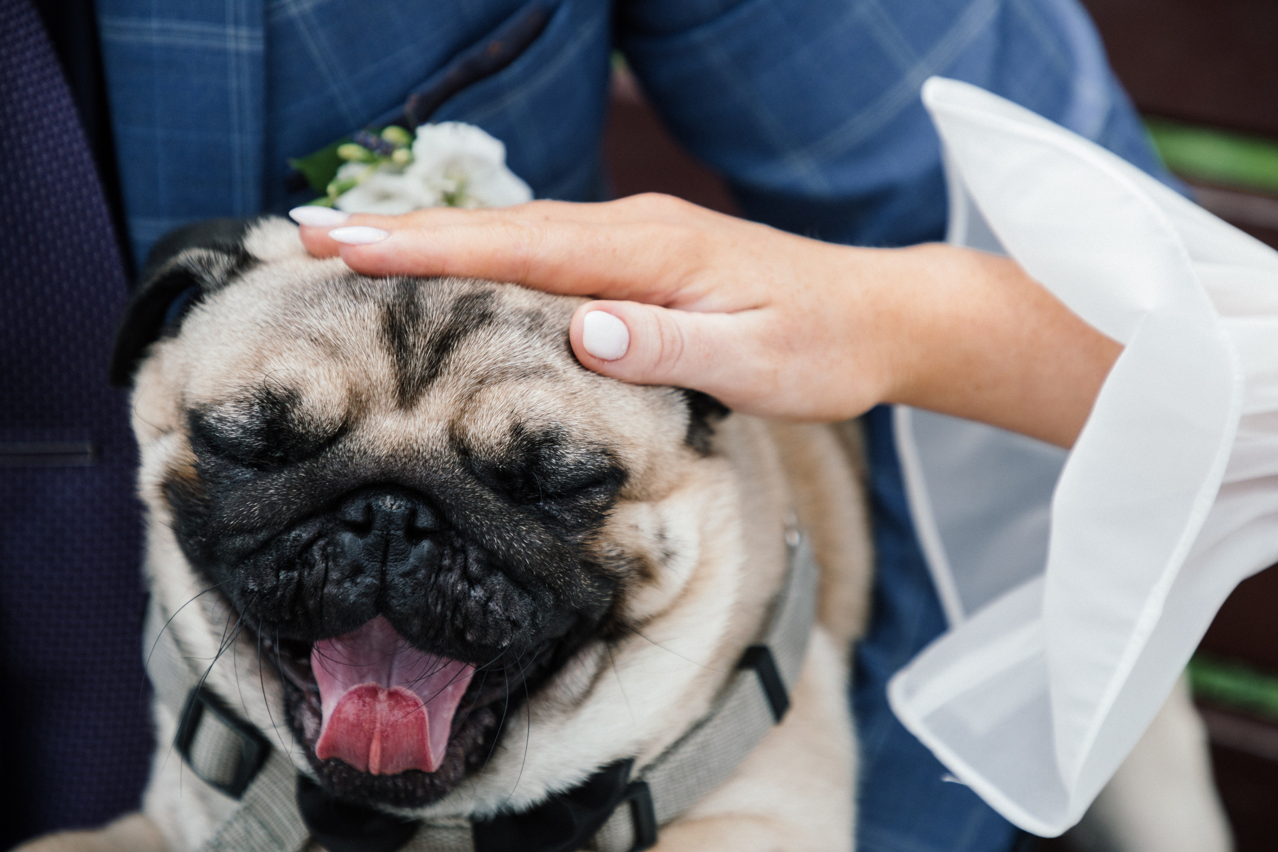 Ольга и Алексей. Свадебный фотограф в Санкт-Петербурге Анастасия Андреева