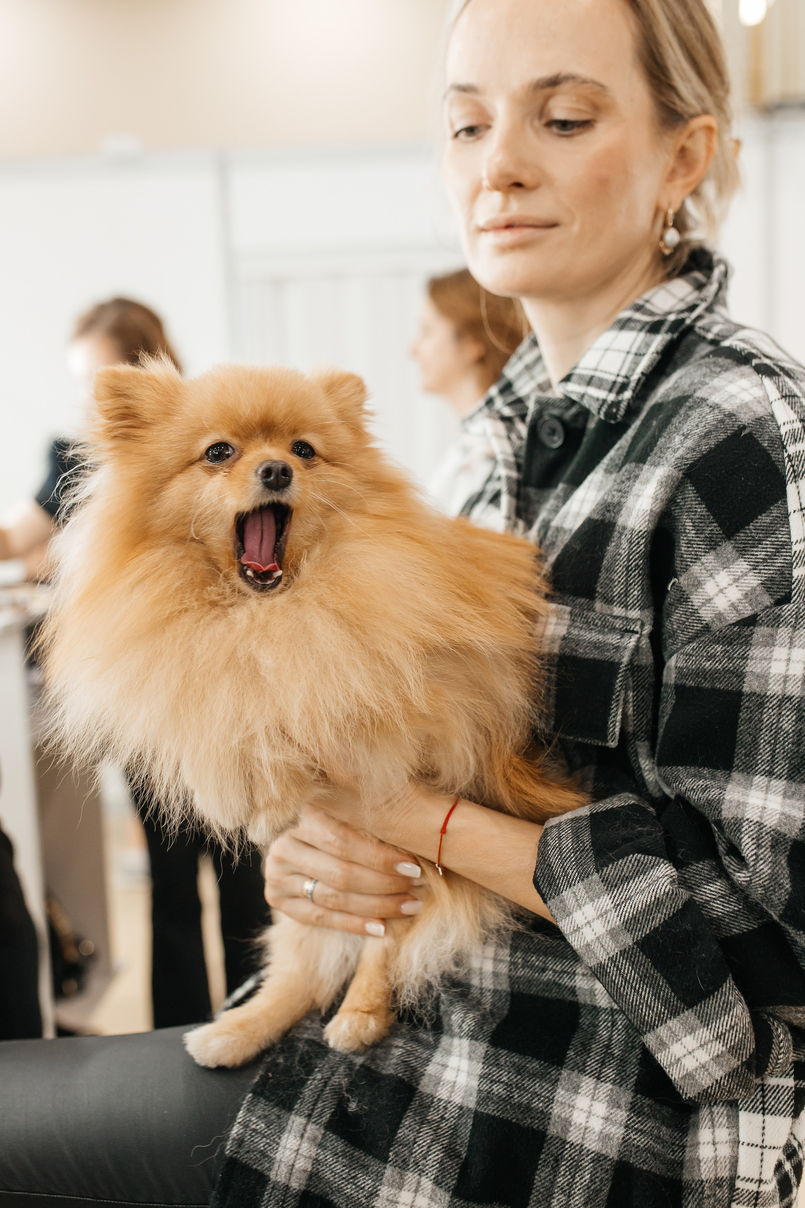 Don Fashion Week 2023-2024. Фотограф в Ростов-на-Дону Виктория Савчук