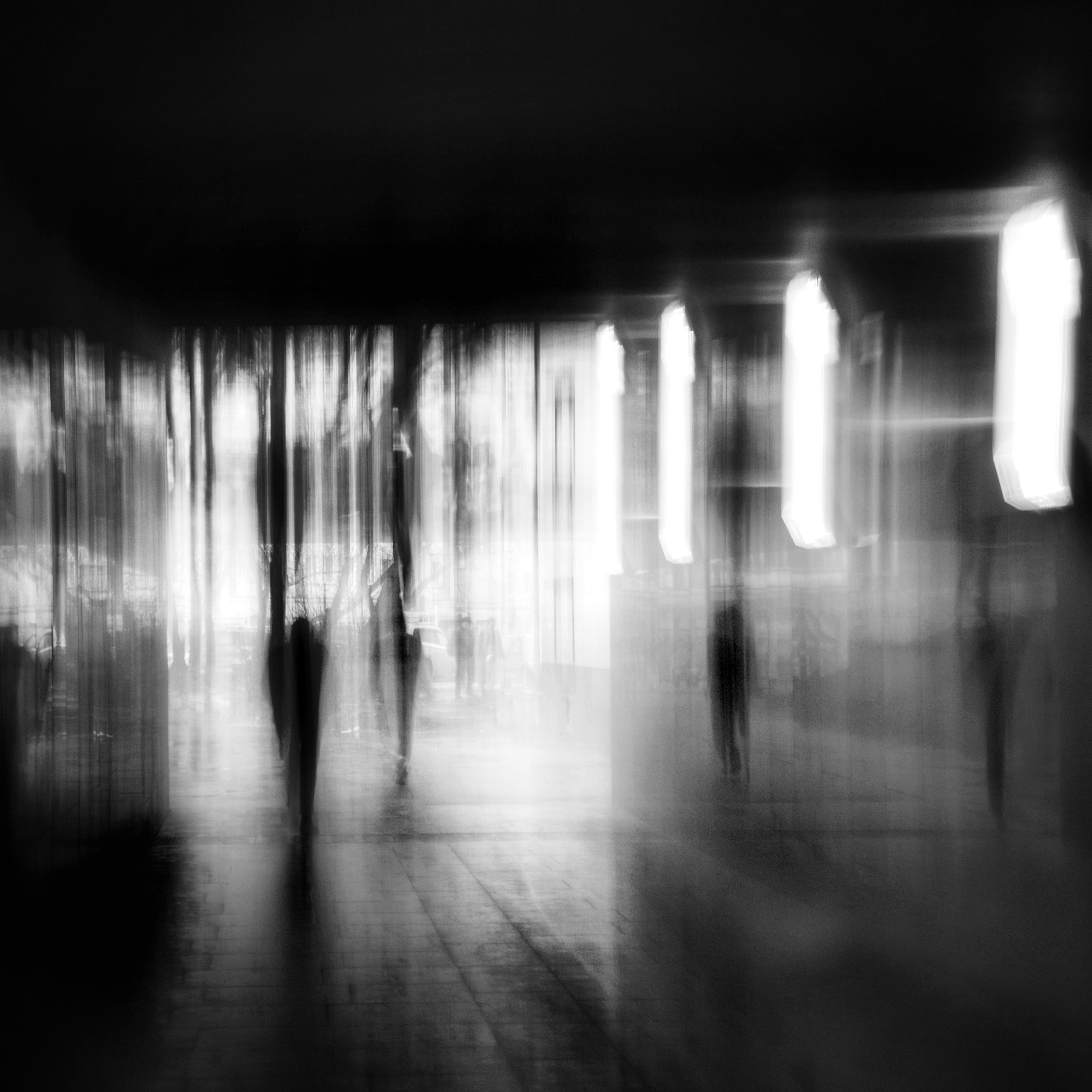 Primavera. Metagraphy