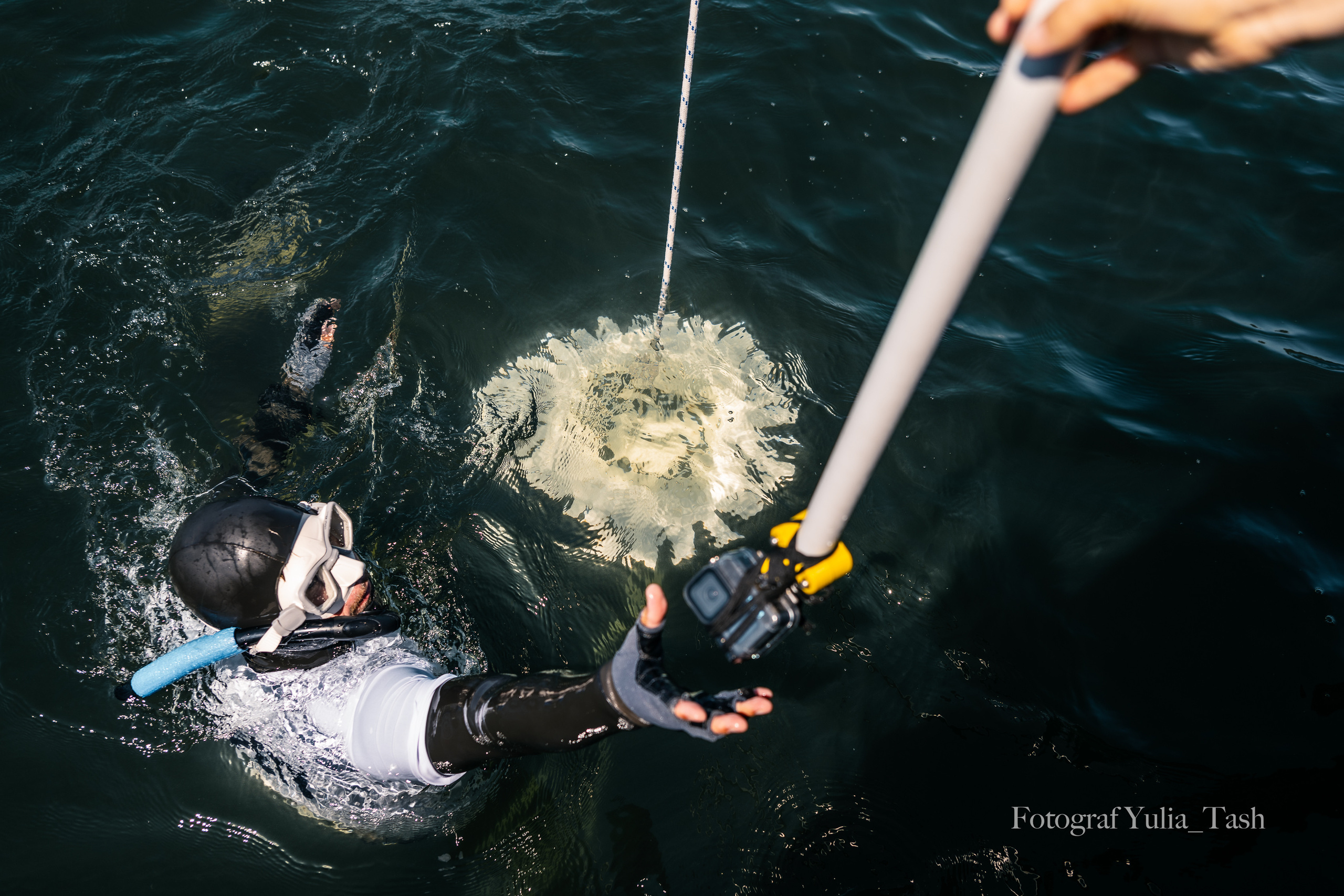 FREEDIVING. Любимый фотограф