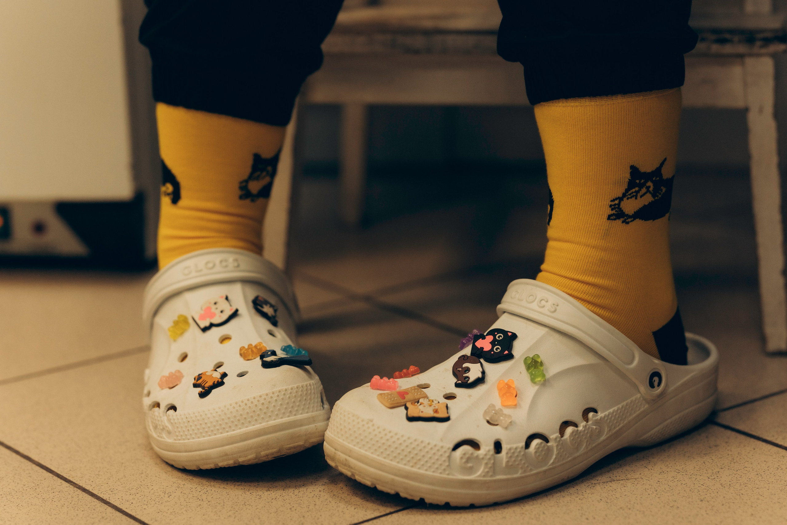 VetLife. Татьяна Афонина | Фотограф