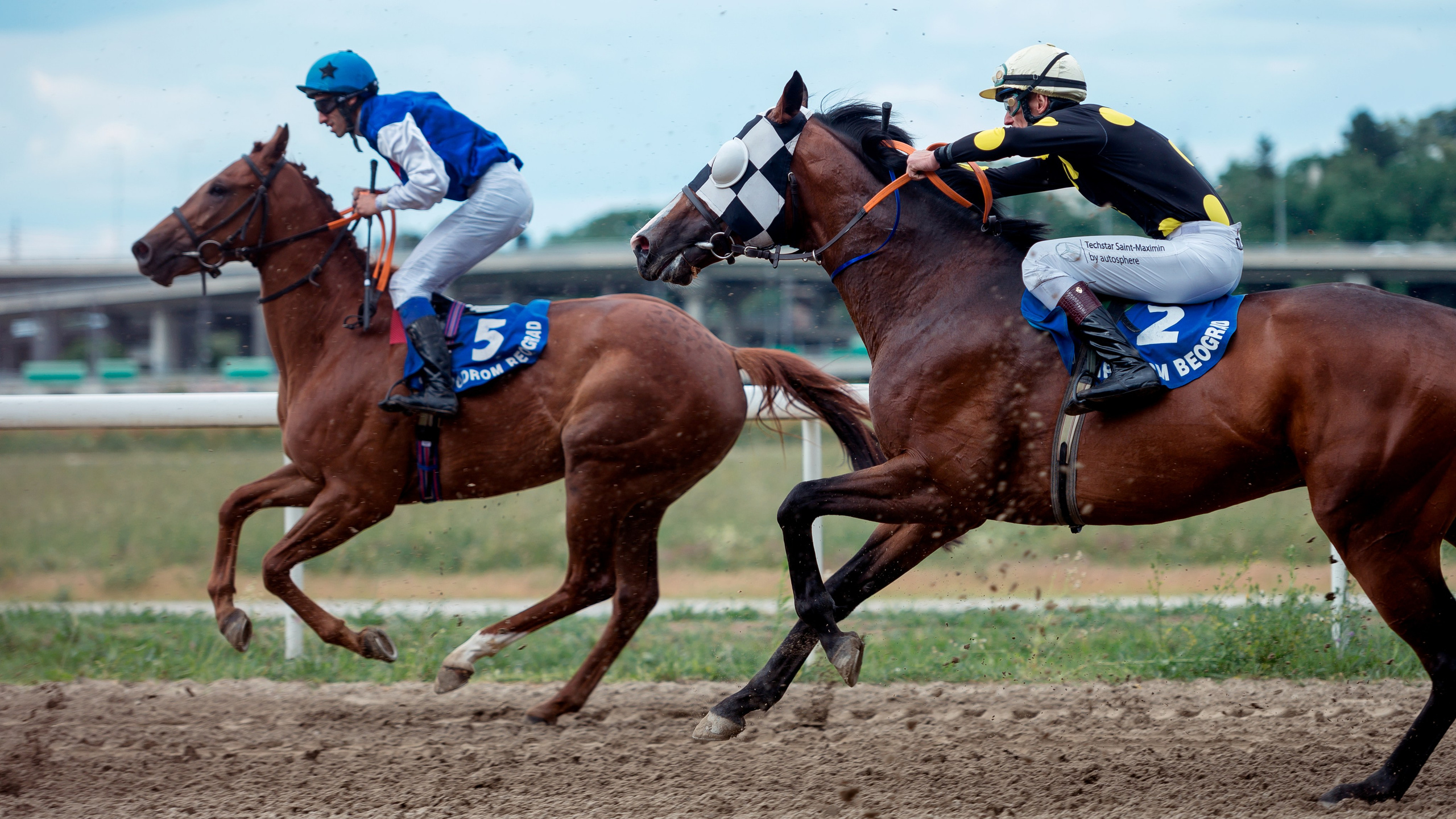 Конный фотограф Alesya Safe