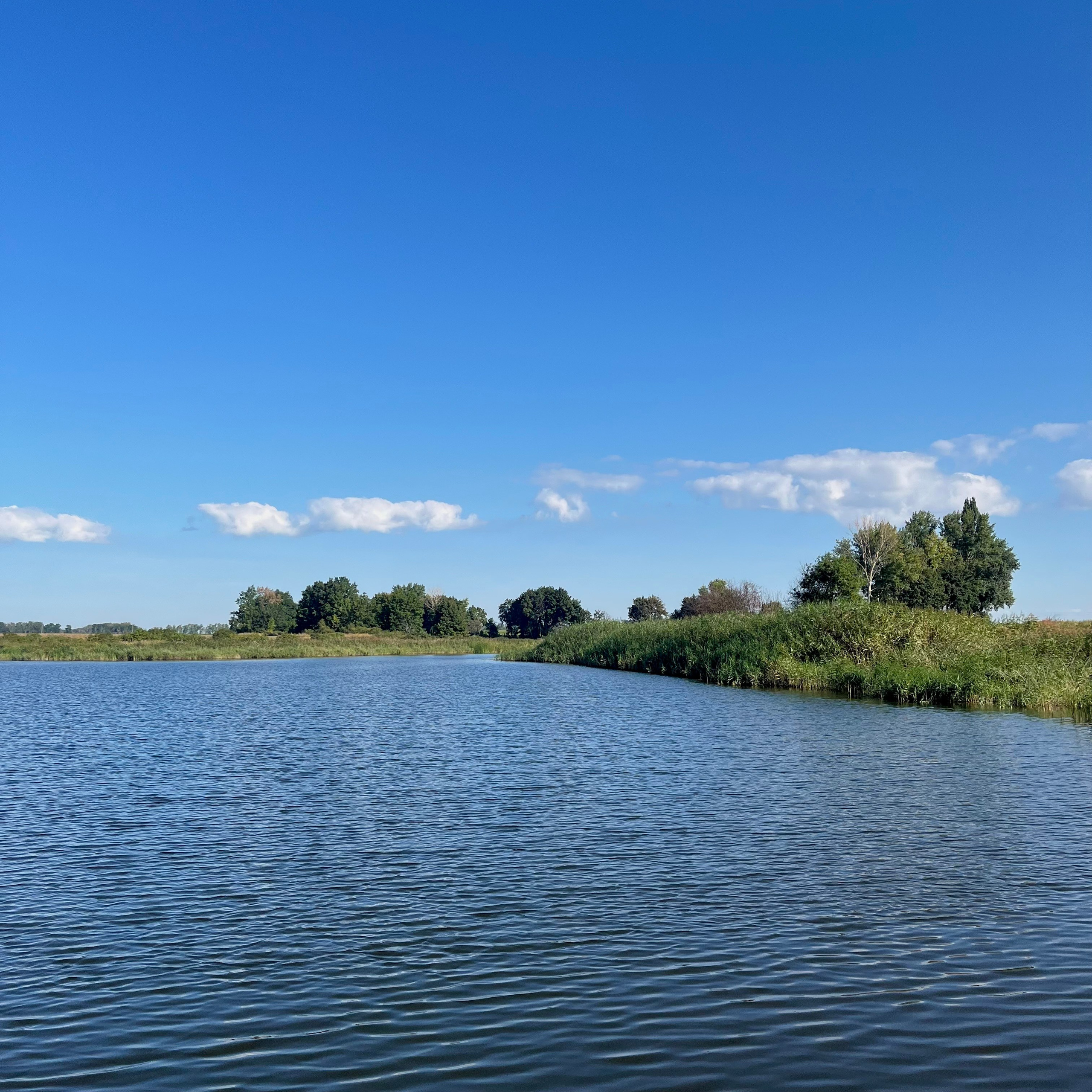 Летний пейзаж. Фотограф природных объектов