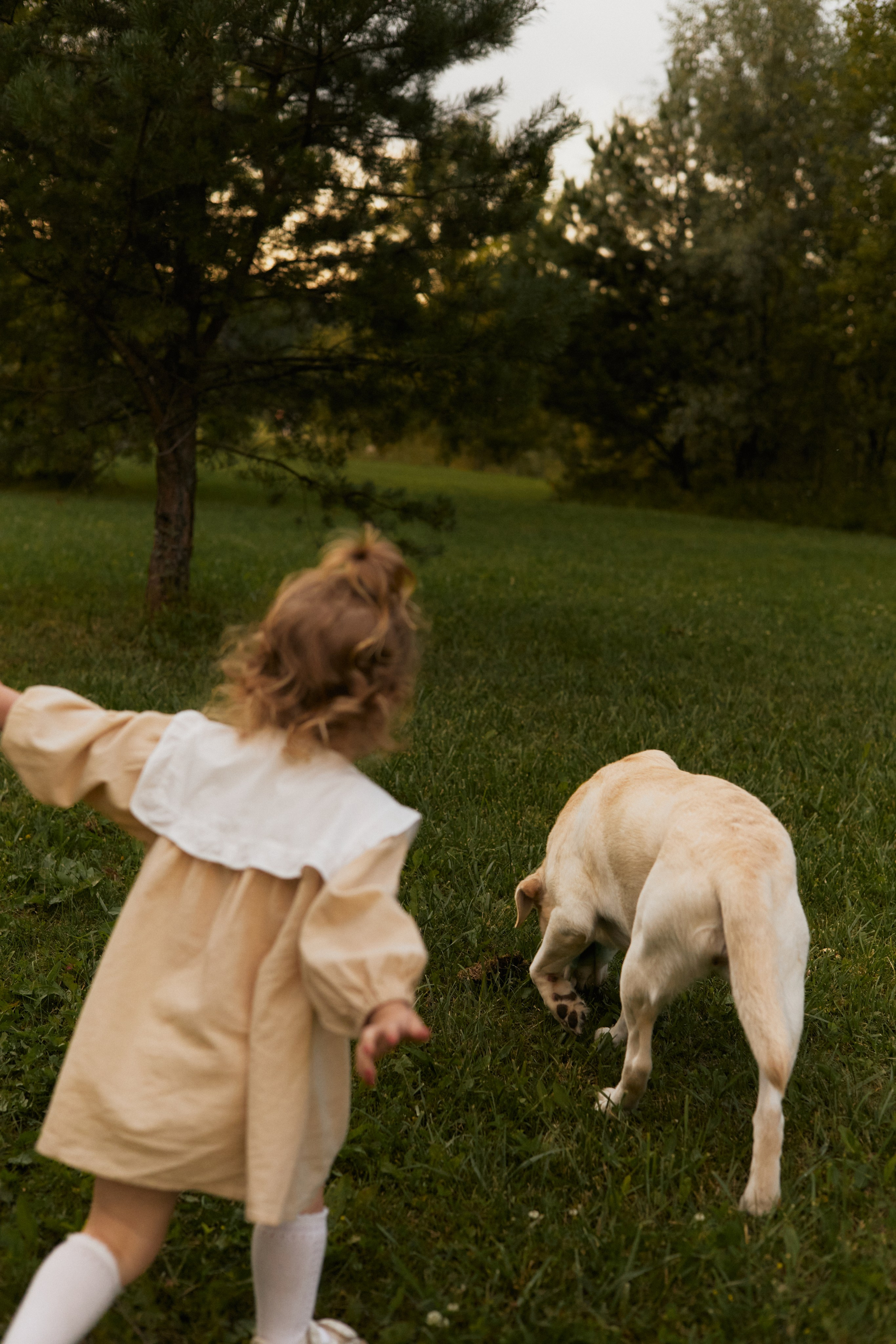 История 3-х девочек. Фотограф в Москве Струц Влада
