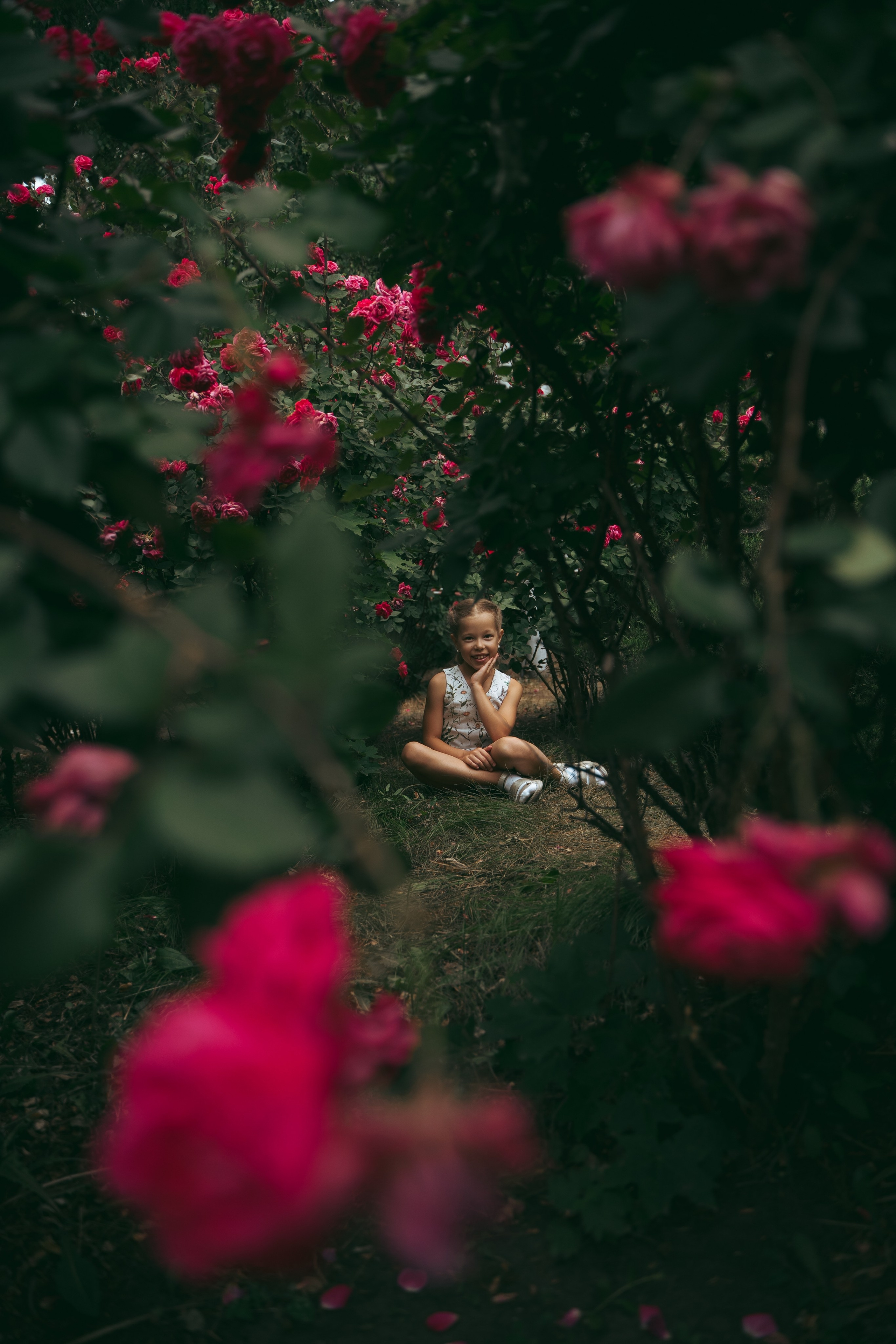 Розы. Фотограф Мария Зайчик