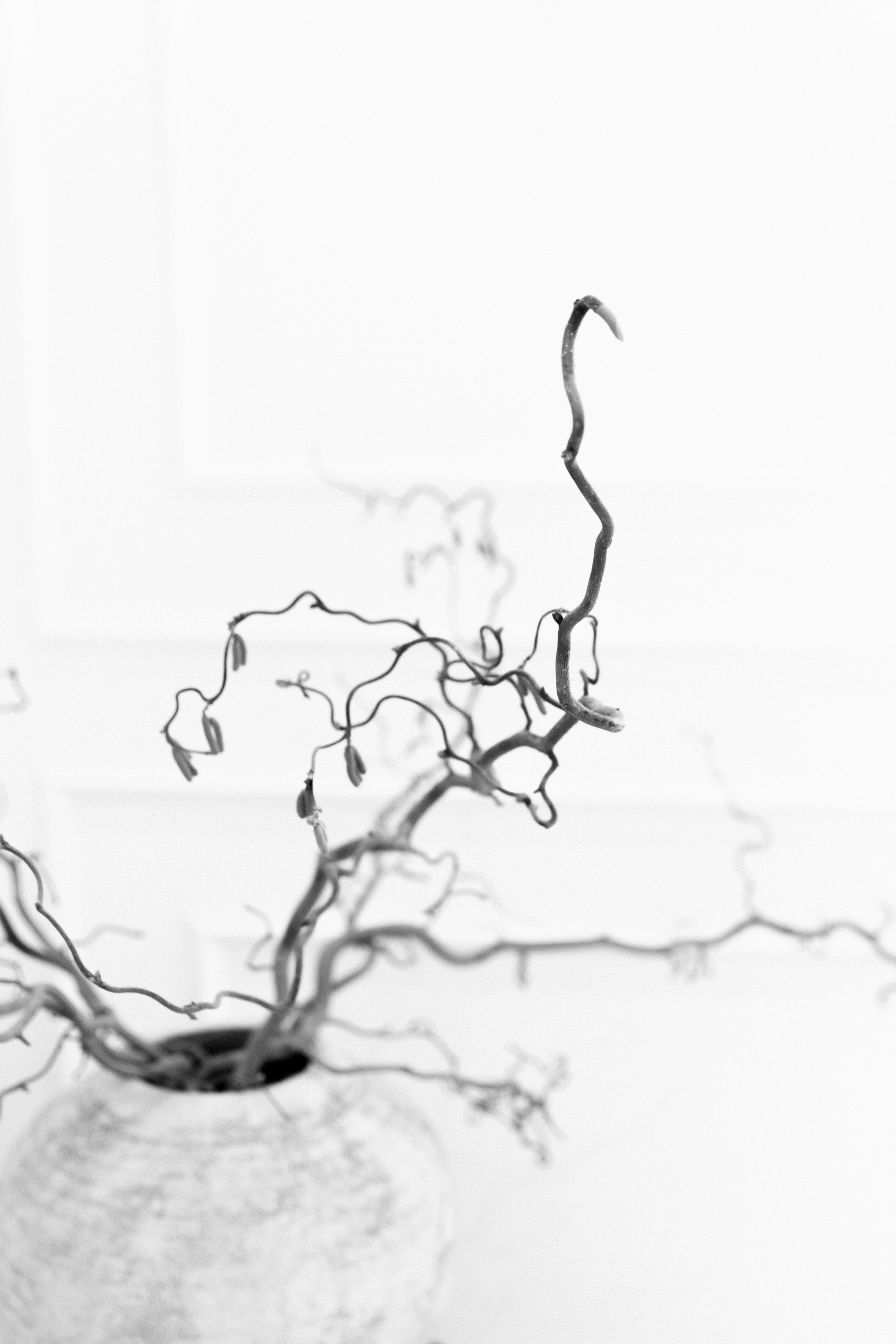 Wedding. Главная