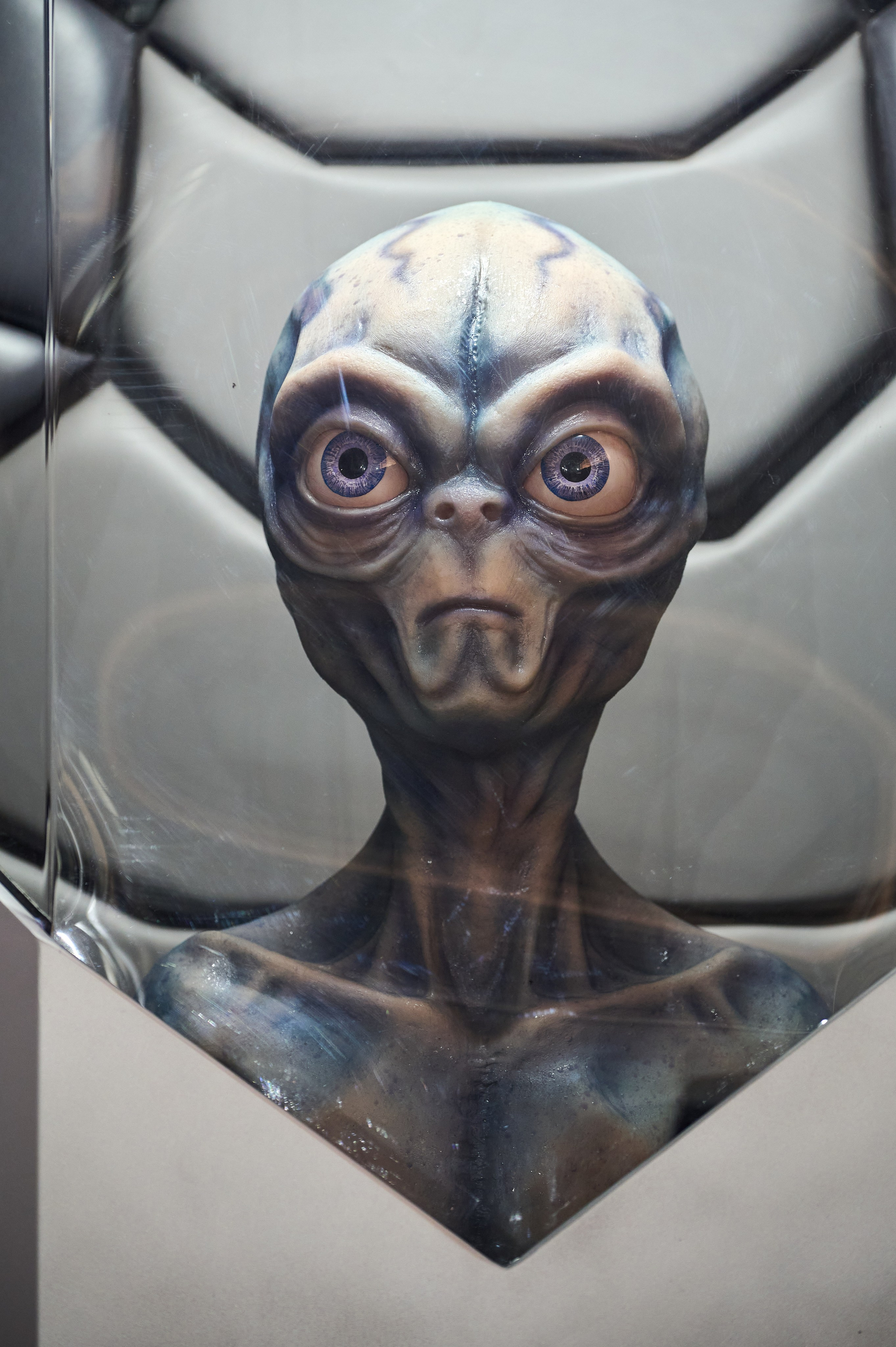 Вторжение инопланетян и криошоу. Фотограф Опыт Качество Скорость Горный Алтай Барнаул